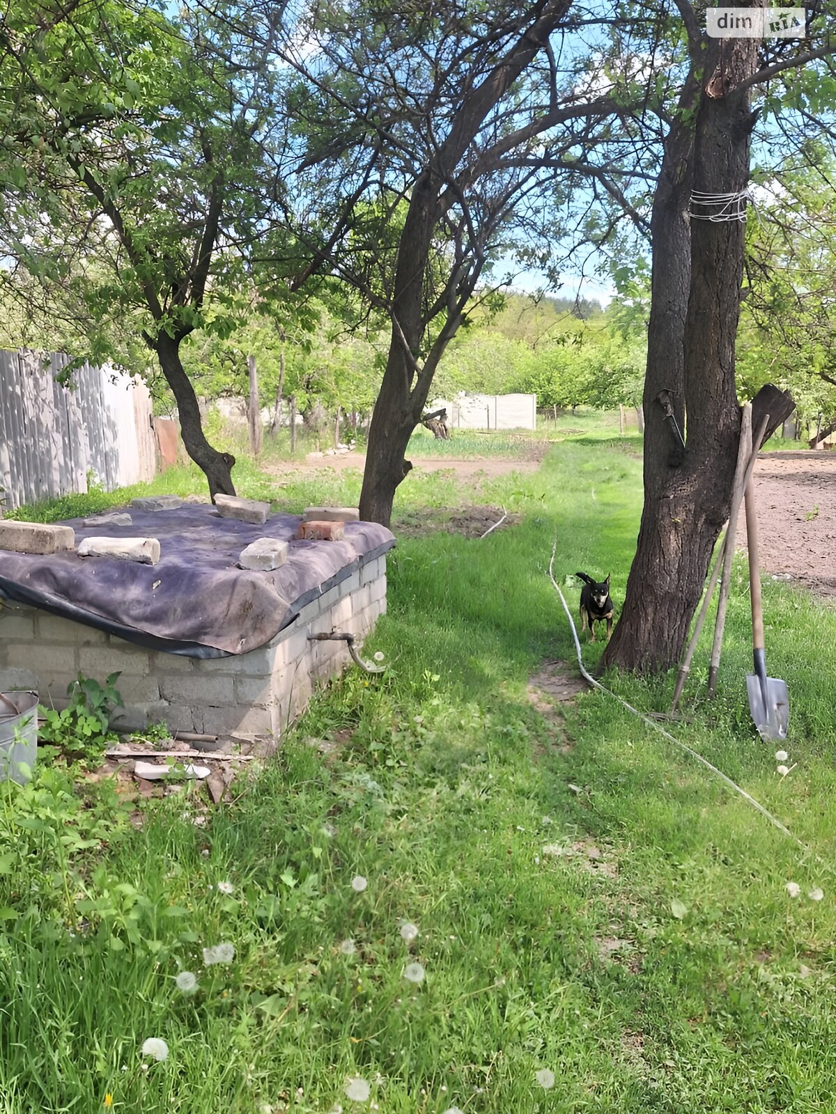 одноповерховий будинок, 87.1 кв. м, кирпич. Продаж у Пересічному фото 1 одноповерховий будинок, 87.1 кв. м, кирпич. Продаж у Пересічному фото 1