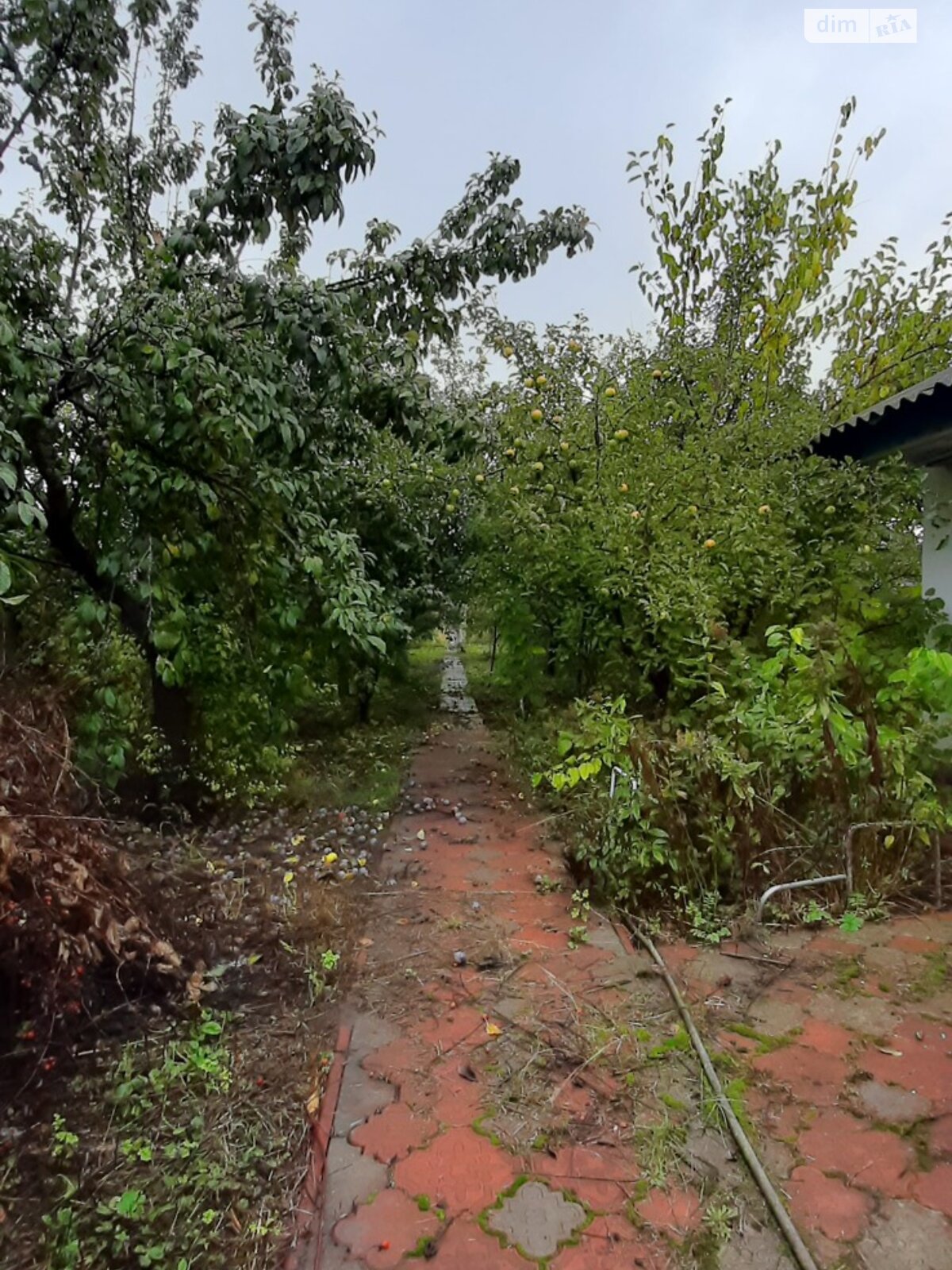двоповерховий будинок бесідка, 145.4 кв. м, цегла. Продаж у Переселенні фото 1 двоповерховий будинок бесідка, 145.4 кв. м, цегла. Продаж у Переселенні фото 1