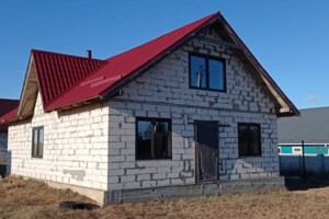 одноповерховий будинок, 95 кв. м, цегла. Продаж у Перевозі фото 2