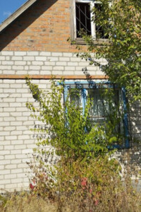 одноповерховий будинок з мансардою, 40 кв. м, цегла. Продаж у Піщанці фото 2
