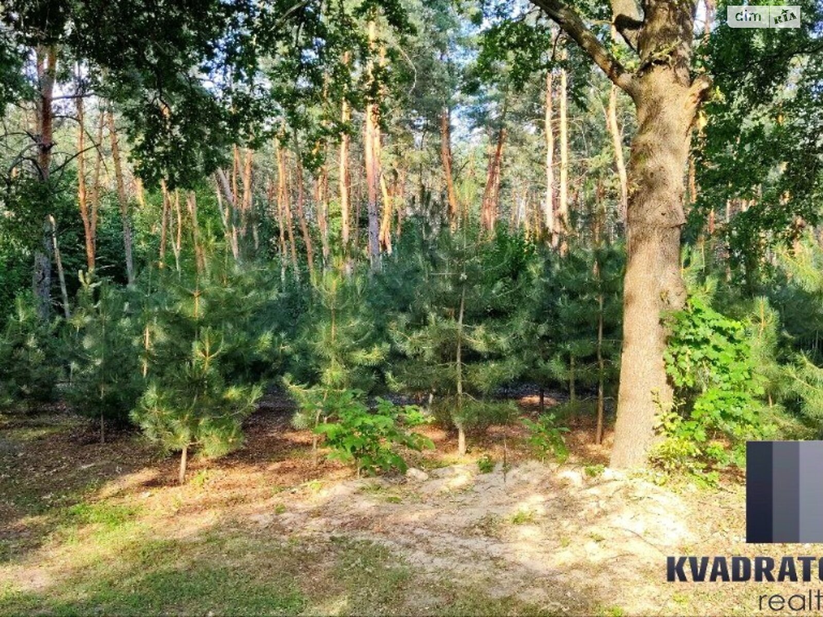 двухэтажный дом с верандой, 80 кв. м, кирпич. Продажа в Песчанке фото 1 двухэтажный дом с верандой, 80 кв. м, кирпич. Продажа в Песчанке фото 1
