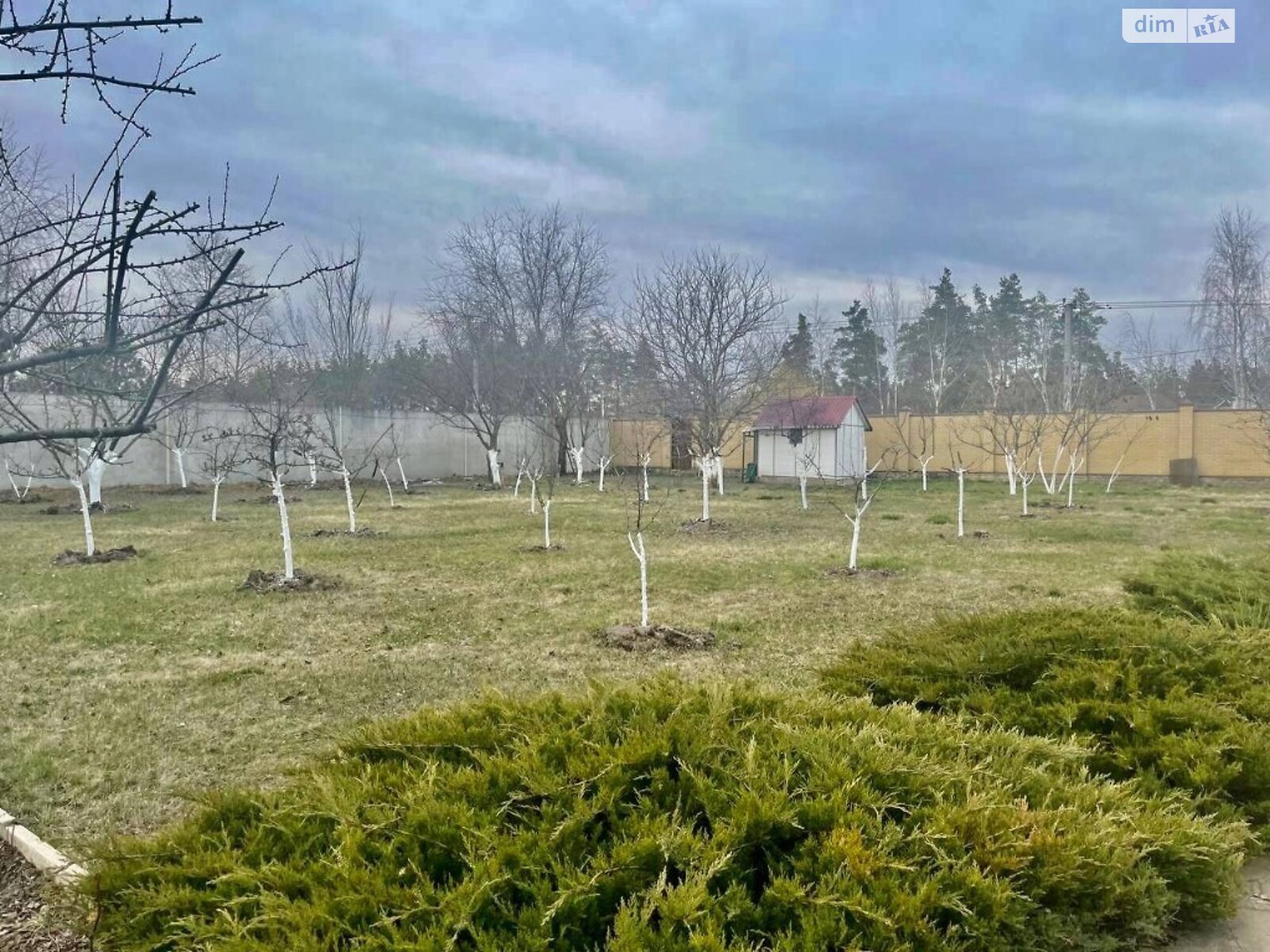 одноповерховий будинок веранда, 160 кв. м, цегла. Продаж у Піщанці фото 1