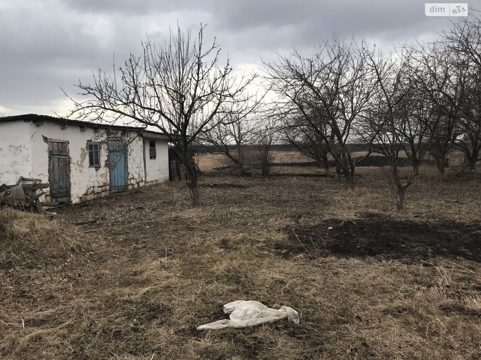 одноэтажный дом, 36 кв. м, кирпич. Продажа в Петрашовке фото 1 одноэтажный дом, 36 кв. м, кирпич. Продажа в Петрашовке фото 1