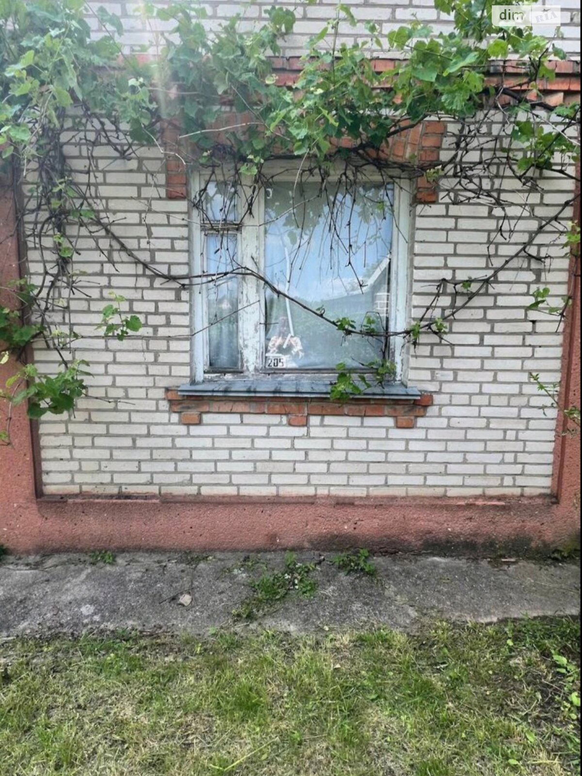 одноповерховий будинок, 25.6 кв. м, цегла. Продаж у Петрику фото 1 одноповерховий будинок, 25.6 кв. м, цегла. Продаж у Петрику фото 1