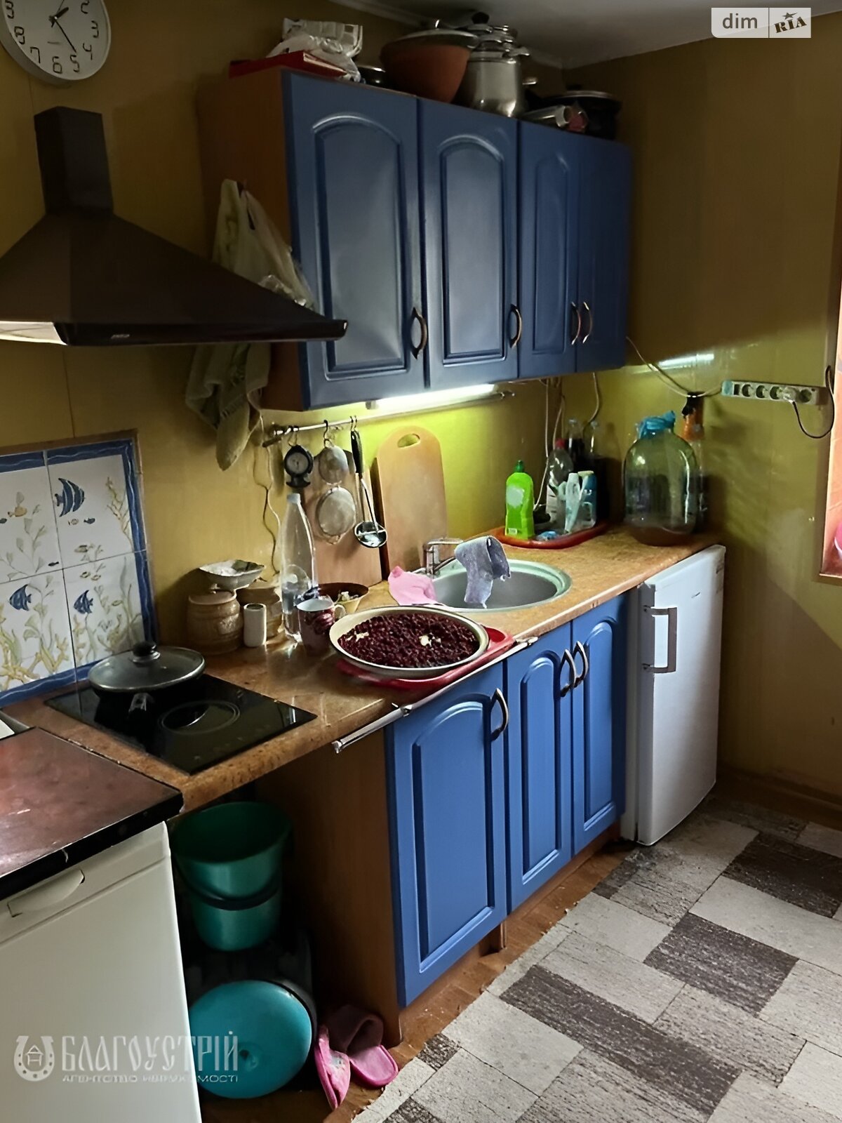 двоповерховий будинок, 50 кв. м, цегла. Продаж у Петрику фото 1 двоповерховий будинок, 50 кв. м, цегла. Продаж у Петрику фото 1