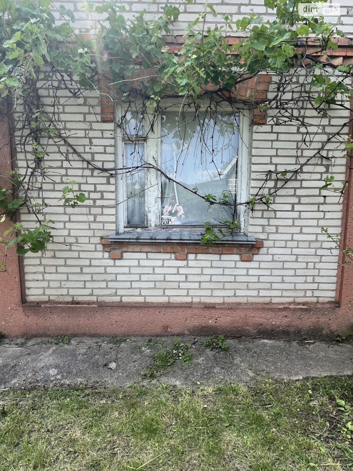 двоповерховий будинок, 35 кв. м, цегла. Продаж у Петрику фото 1 двоповерховий будинок, 35 кв. м, цегла. Продаж у Петрику фото 1