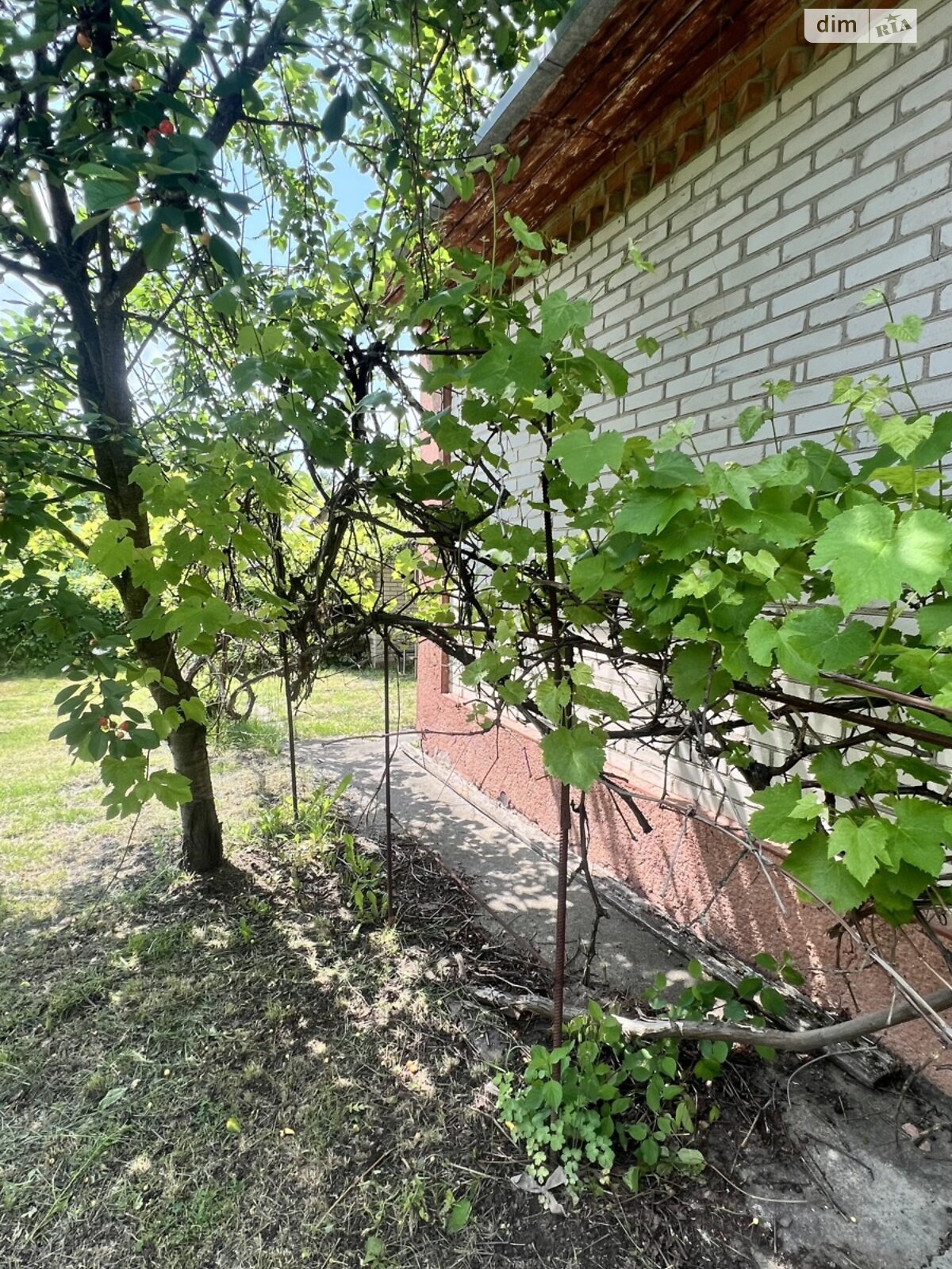 двоповерховий будинок, 35 кв. м, цегла. Продаж у Петрику фото 1 двоповерховий будинок, 35 кв. м, цегла. Продаж у Петрику фото 1