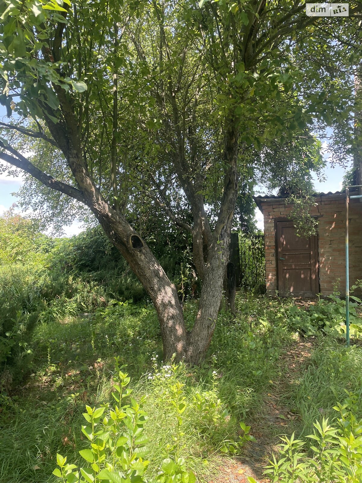 двоповерховий будинок, 47 кв. м, цегла. Продаж у Петрику фото 1 двоповерховий будинок, 47 кв. м, цегла. Продаж у Петрику фото 1