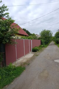 двоповерховий будинок бесідка, 36 кв. м, цегла. Продаж у Петрику фото 2