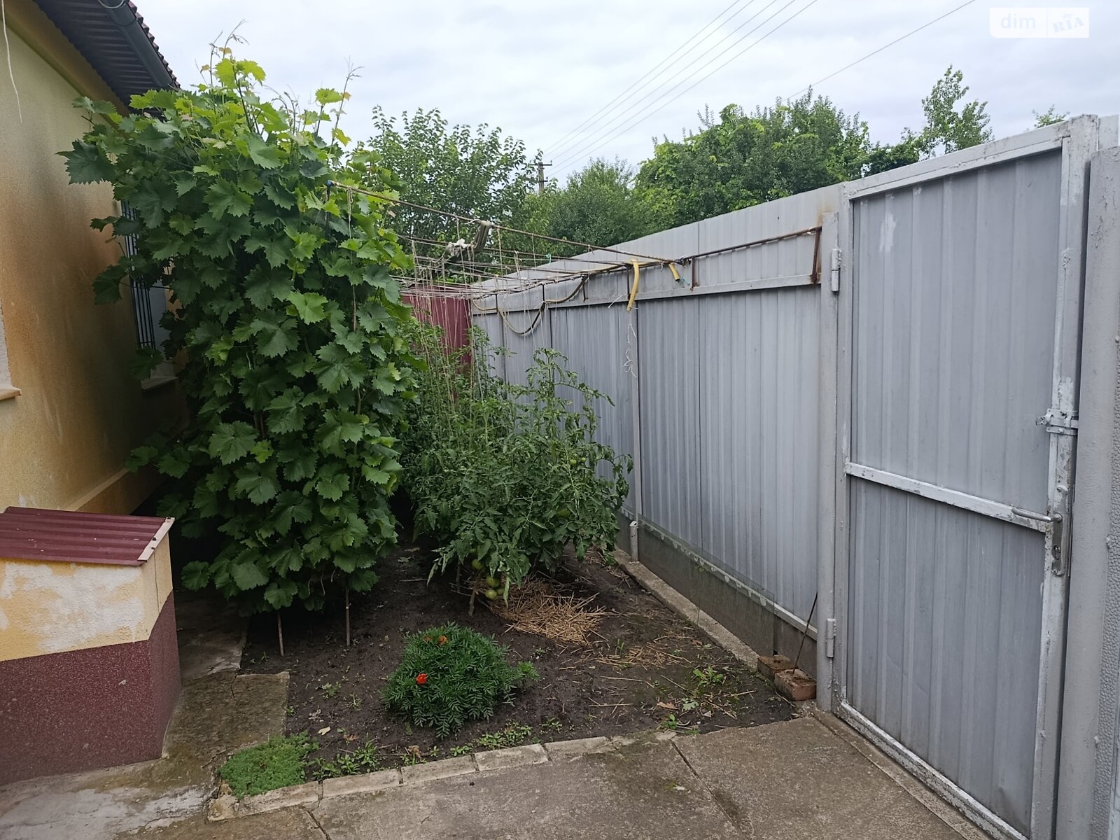 двоповерховий будинок бесідка, 36 кв. м, цегла. Продаж у Петрику фото 1