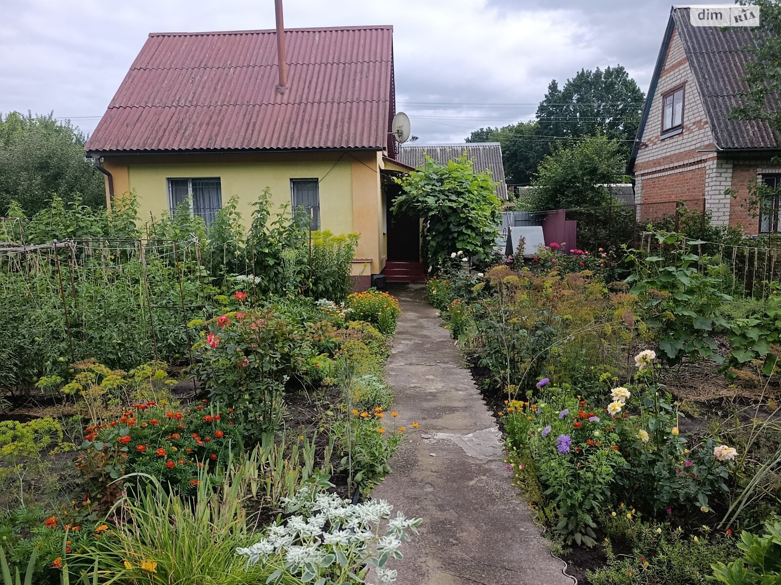 двоповерховий будинок бесідка, 36 кв. м, цегла. Продаж у Петрику фото 1