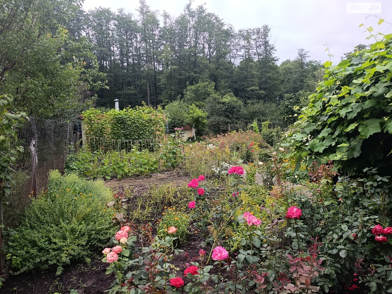 двоповерховий будинок бесідка, 36 кв. м, цегла. Продаж у Петрику фото 1