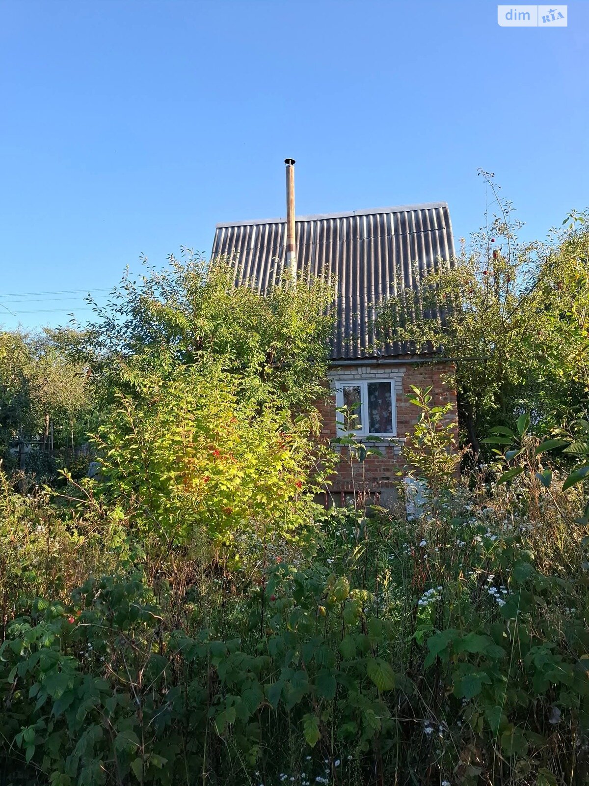 одноповерховий будинок, 26 кв. м, кирпич. Продаж у Петрику фото 1