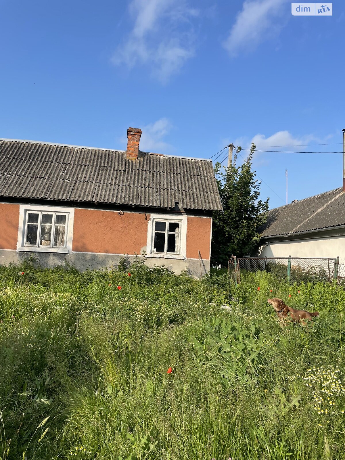 одноповерховий будинок, 124.5 кв. м, цегла. Продаж у Петрикові фото 1 одноповерховий будинок, 124.5 кв. м, цегла. Продаж у Петрикові фото 1