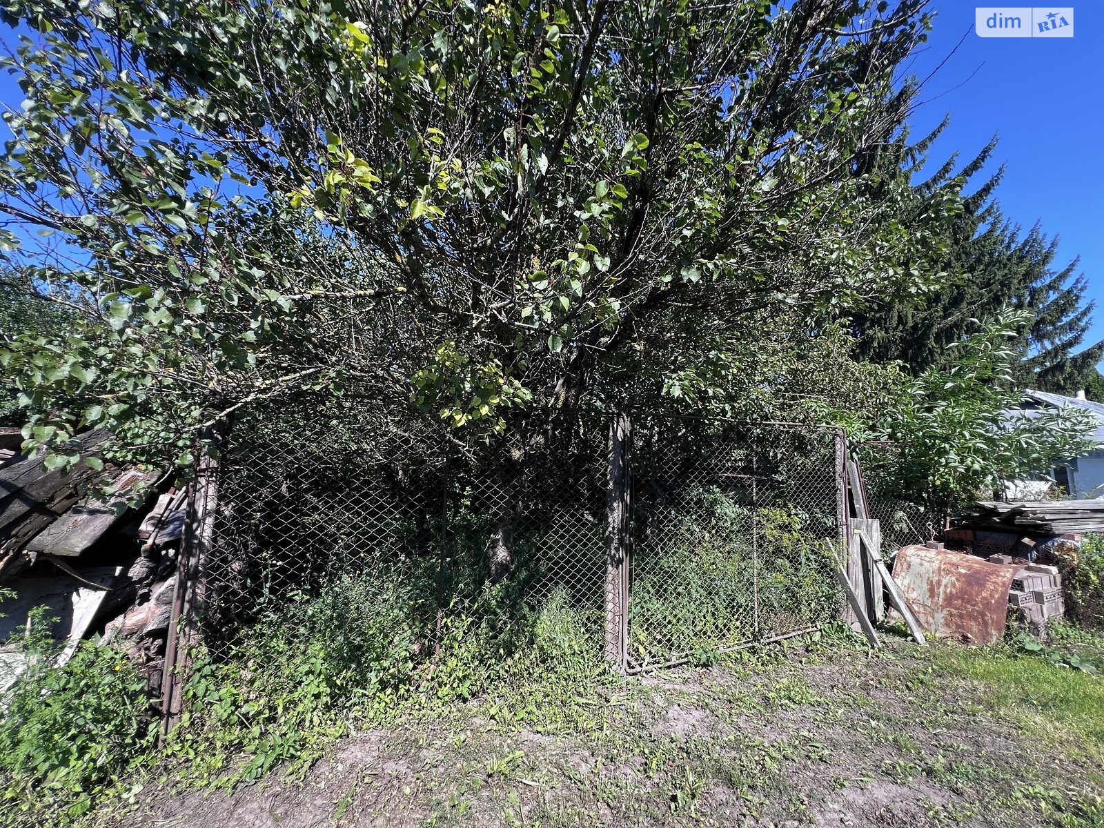 одноповерховий будинок з верандою, 80 кв. м, цегла. Продаж у Петриківцях фото 1