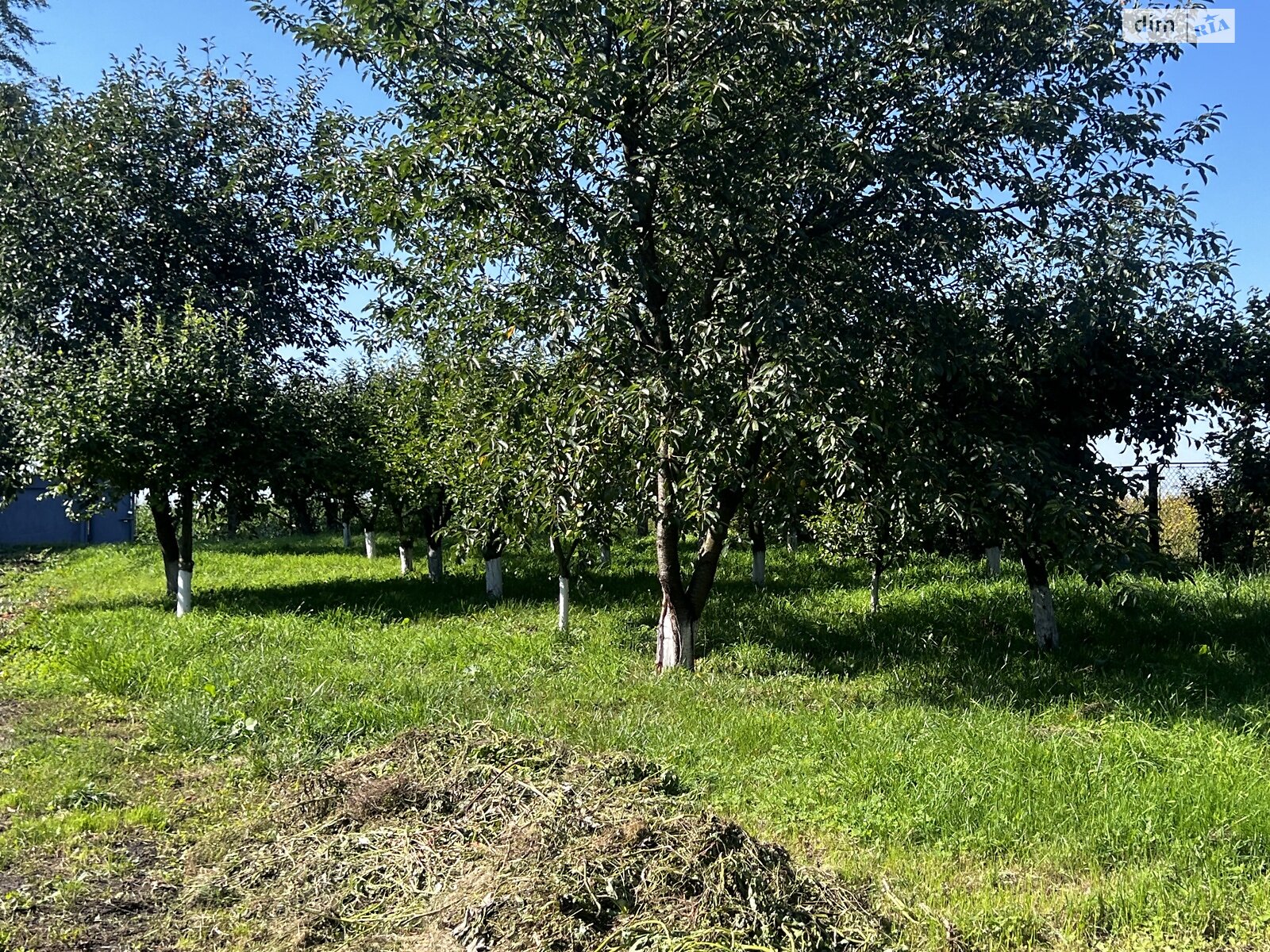 одноповерховий будинок з верандою, 80 кв. м, цегла. Продаж у Петриківцях фото 1