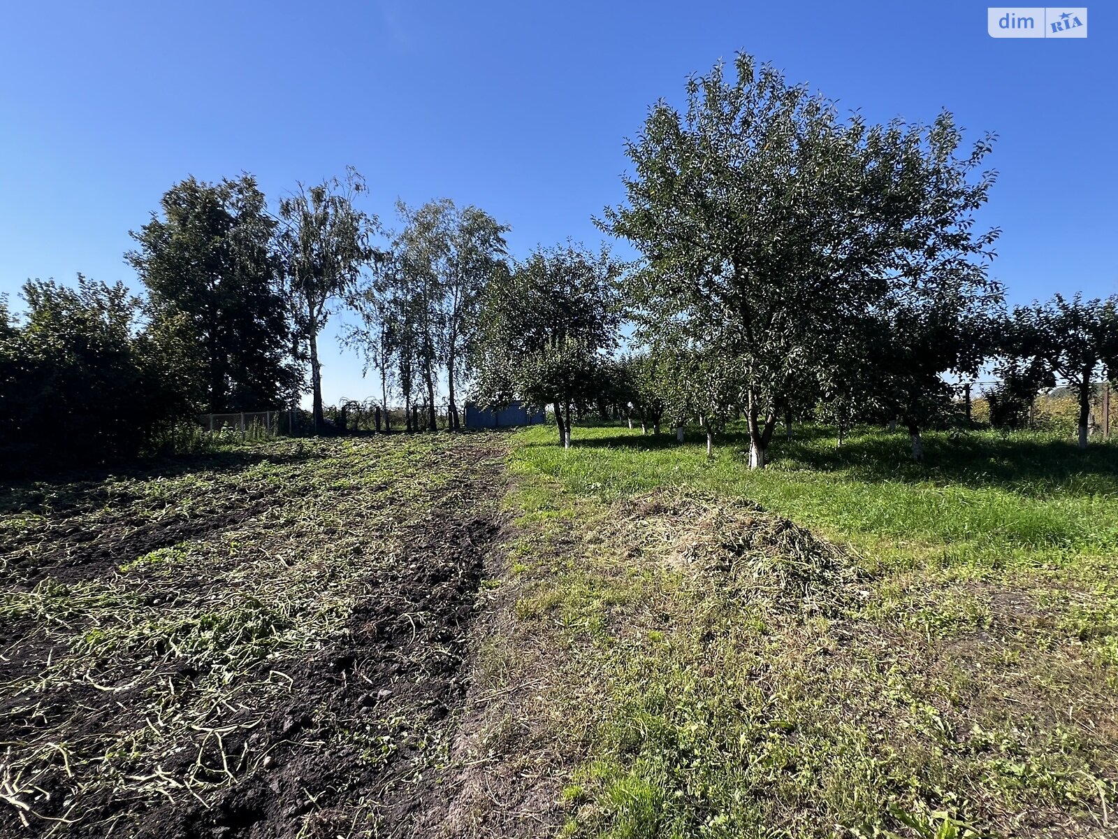 одноповерховий будинок з верандою, 80 кв. м, цегла. Продаж у Петриківцях фото 1