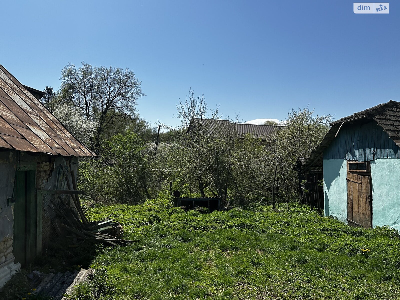 одноповерховий будинок з верандою, 56.9 кв. м, цегла. Продаж у Петриловому фото 1 одноповерховий будинок з верандою, 56.9 кв. м, цегла. Продаж у Петриловому фото 1