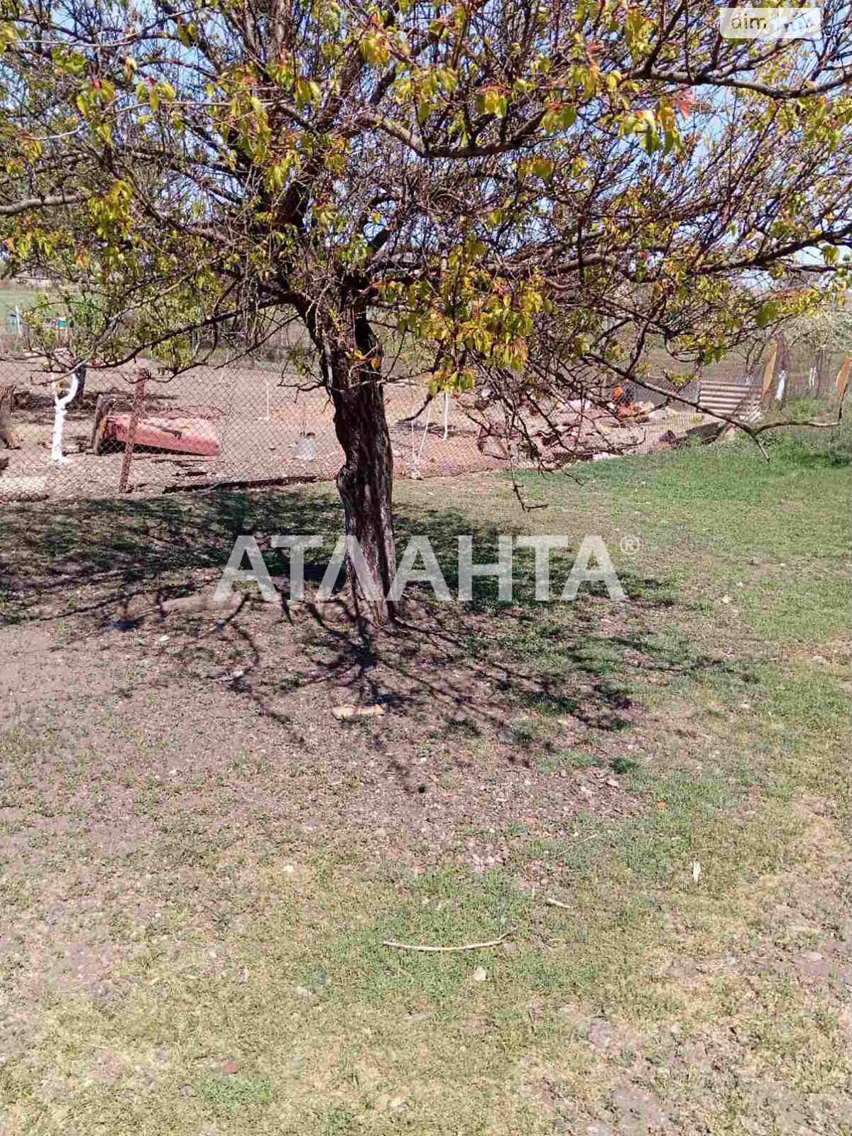 одноэтажный дом беседка, 34.1 кв. м, ракушечник (ракушняк). Продажа в Петровке фото 1 одноэтажный дом беседка, 34.1 кв. м, ракушечник (ракушняк). Продажа в Петровке фото 1