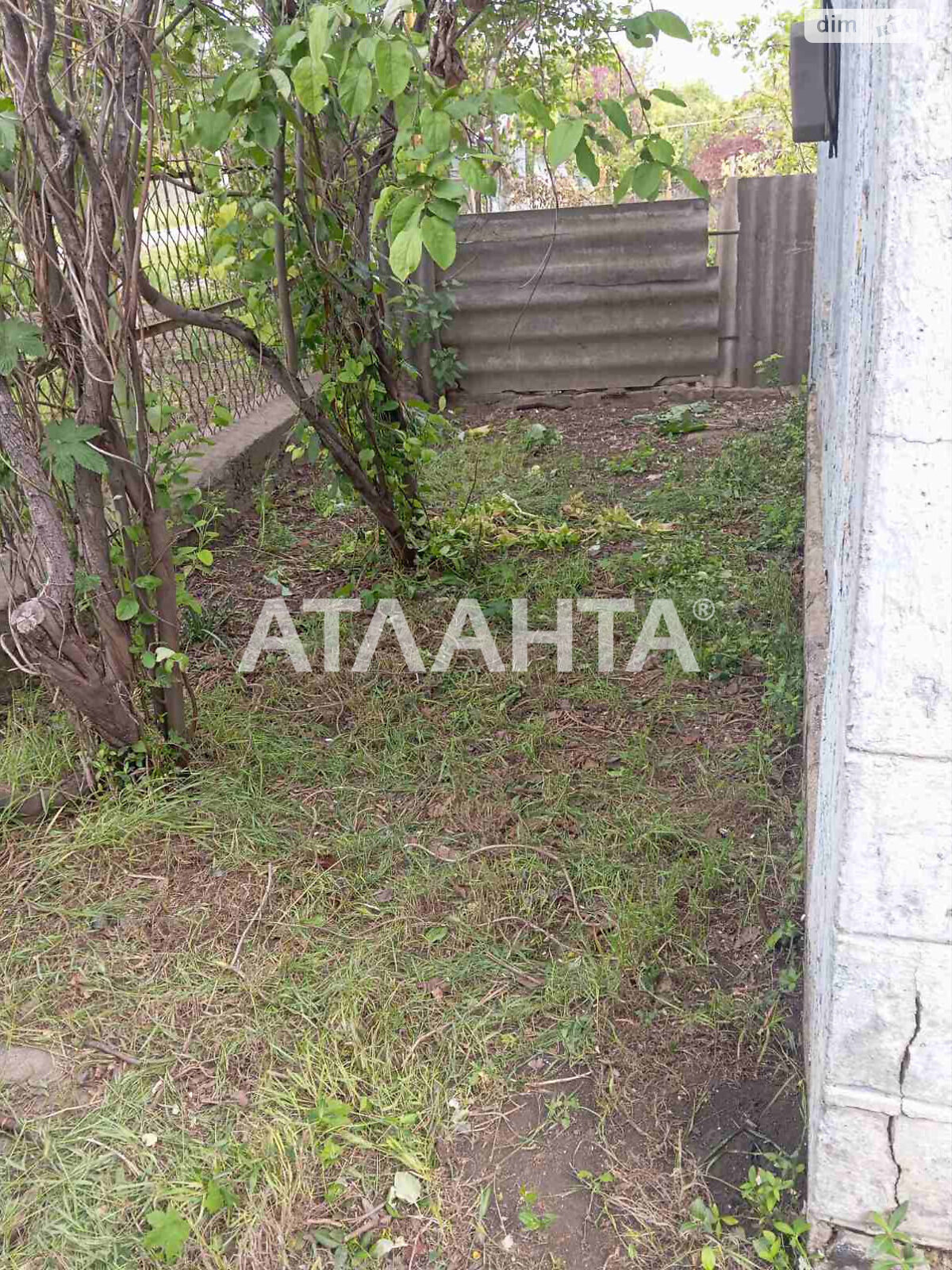 одноэтажный дом беседка, 34.1 кв. м, ракушечник (ракушняк). Продажа в Петровке фото 1 одноэтажный дом беседка, 34.1 кв. м, ракушечник (ракушняк). Продажа в Петровке фото 1