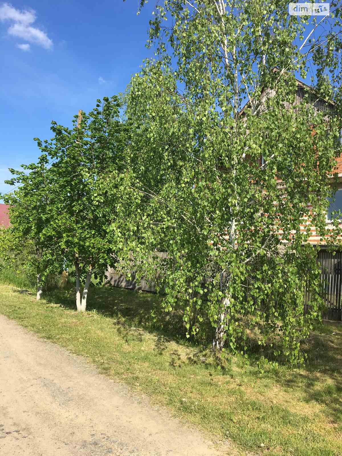 двоповерховий будинок, 240 кв. м, кирпич. Продаж у Петрівці фото 1 двоповерховий будинок, 240 кв. м, кирпич. Продаж у Петрівці фото 1