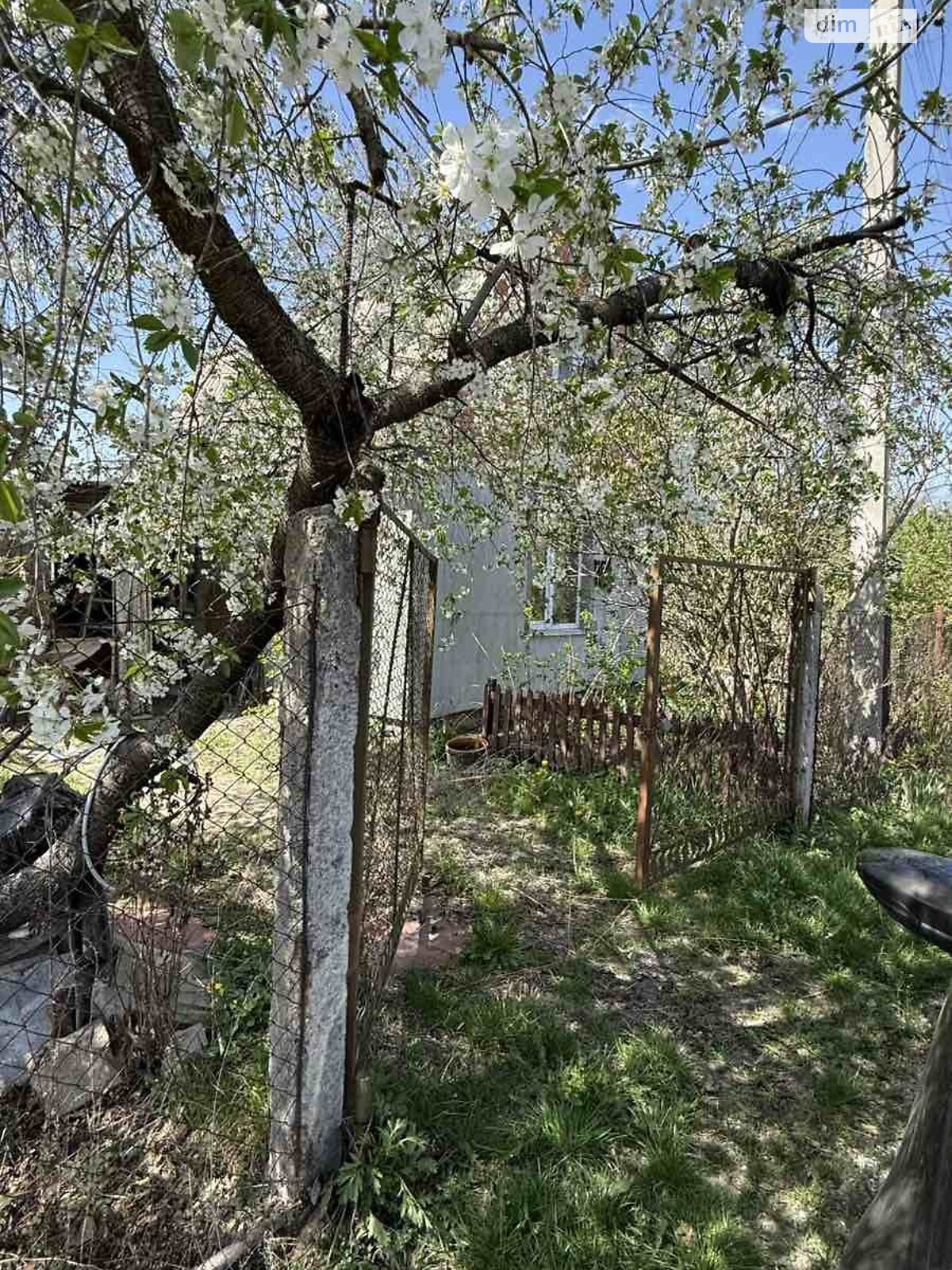 двоповерховий будинок з опаленням, 46.3 кв. м, цегла. Продаж у Петрівці фото 1 двоповерховий будинок з опаленням, 46.3 кв. м, цегла. Продаж у Петрівці фото 1