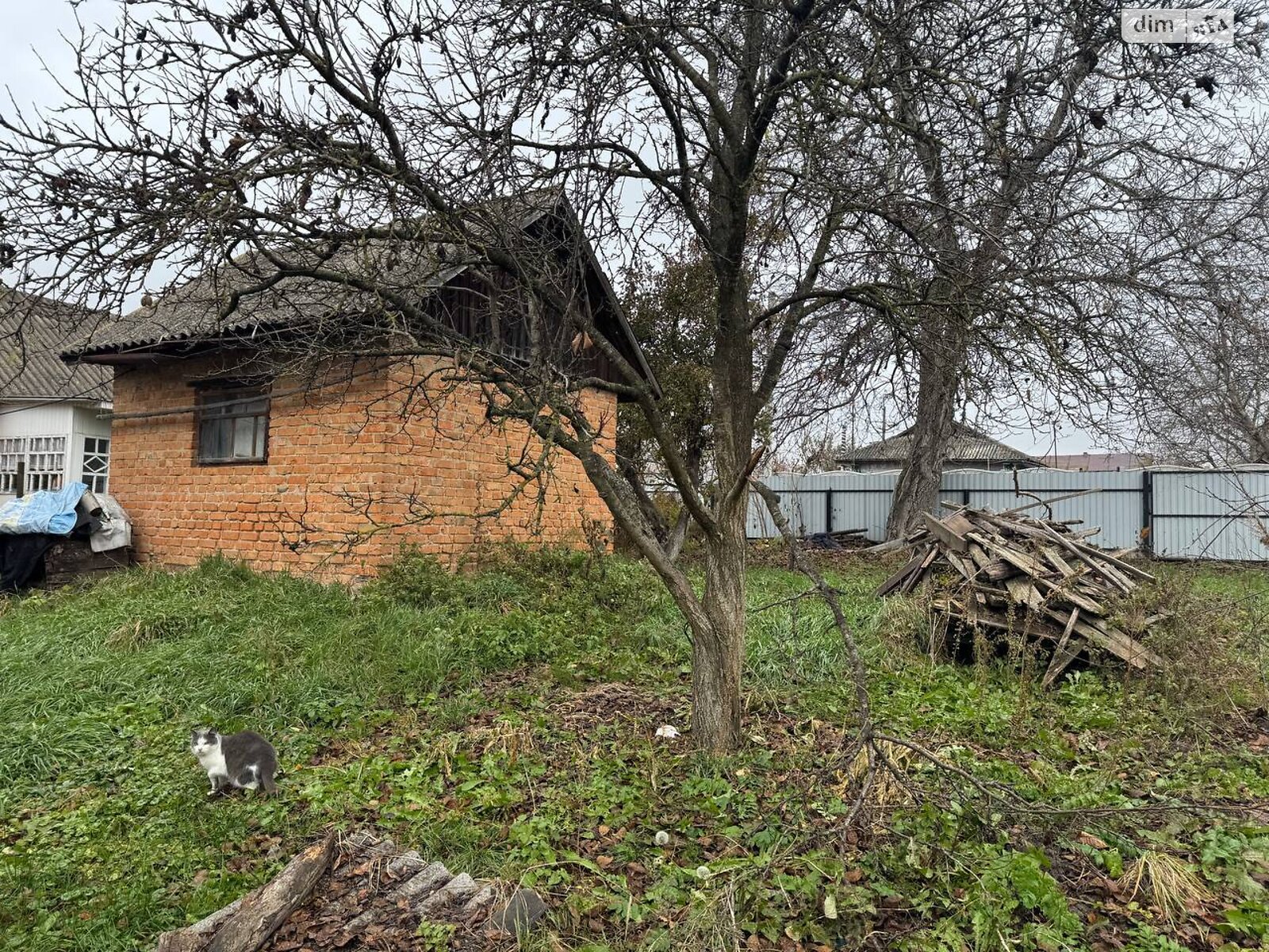 одноповерховий будинок з опаленням, 52.7 кв. м, глинобитний. Продаж у Пирогівцях фото 1