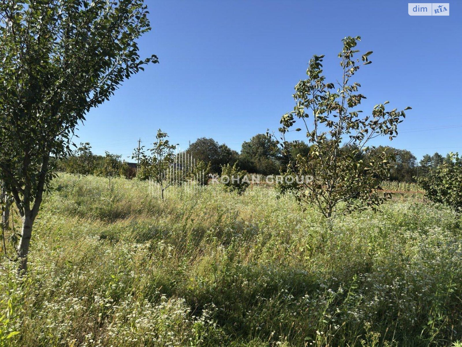 одноповерховий будинок, 73.5 кв. м, цегла. Продаж у Пирогівцях фото 1