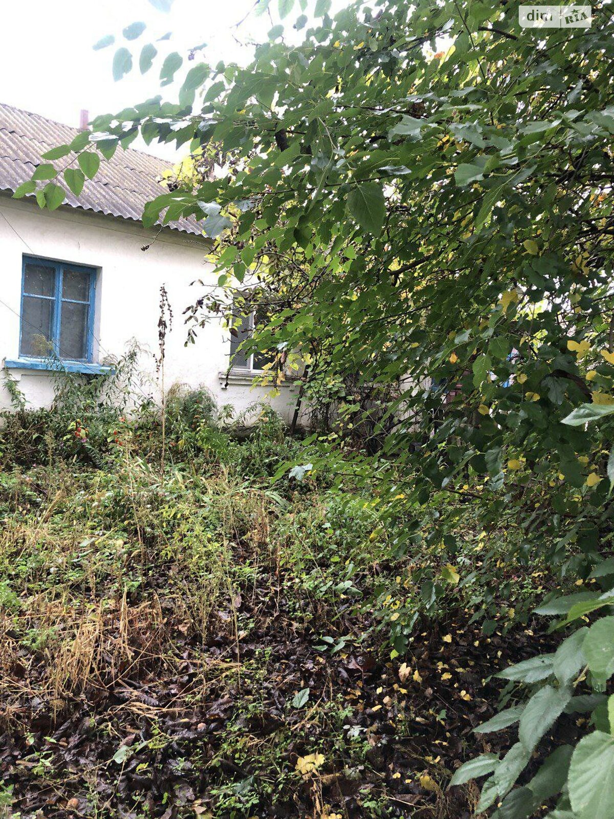 одноповерховий будинок, 95 кв. м, цегла. Продаж у Пиріжках фото 1 одноповерховий будинок, 95 кв. м, цегла. Продаж у Пиріжках фото 1