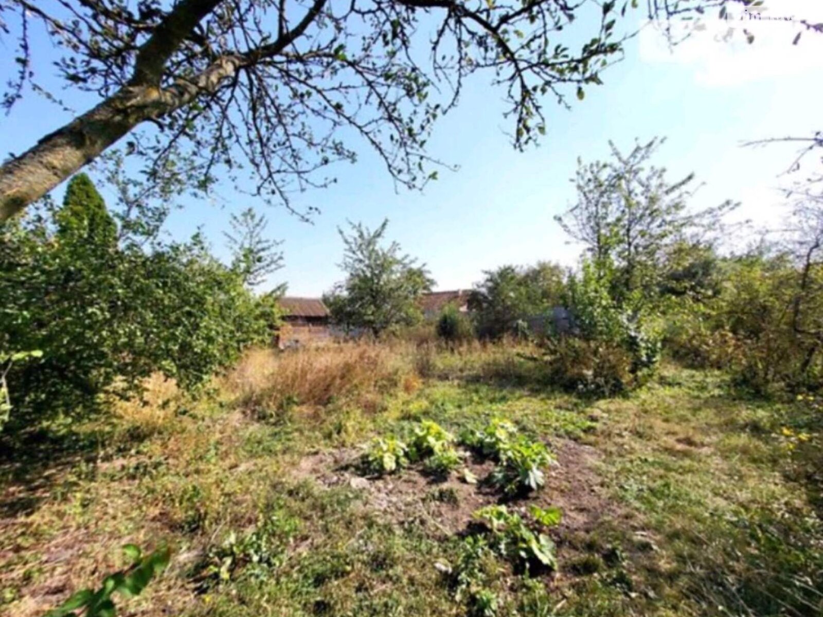 одноповерховий будинок з гаражем, 107.6 кв. м, цегла. Продаж у Писарівці фото 1 одноповерховий будинок з гаражем, 107.6 кв. м, цегла. Продаж у Писарівці фото 1