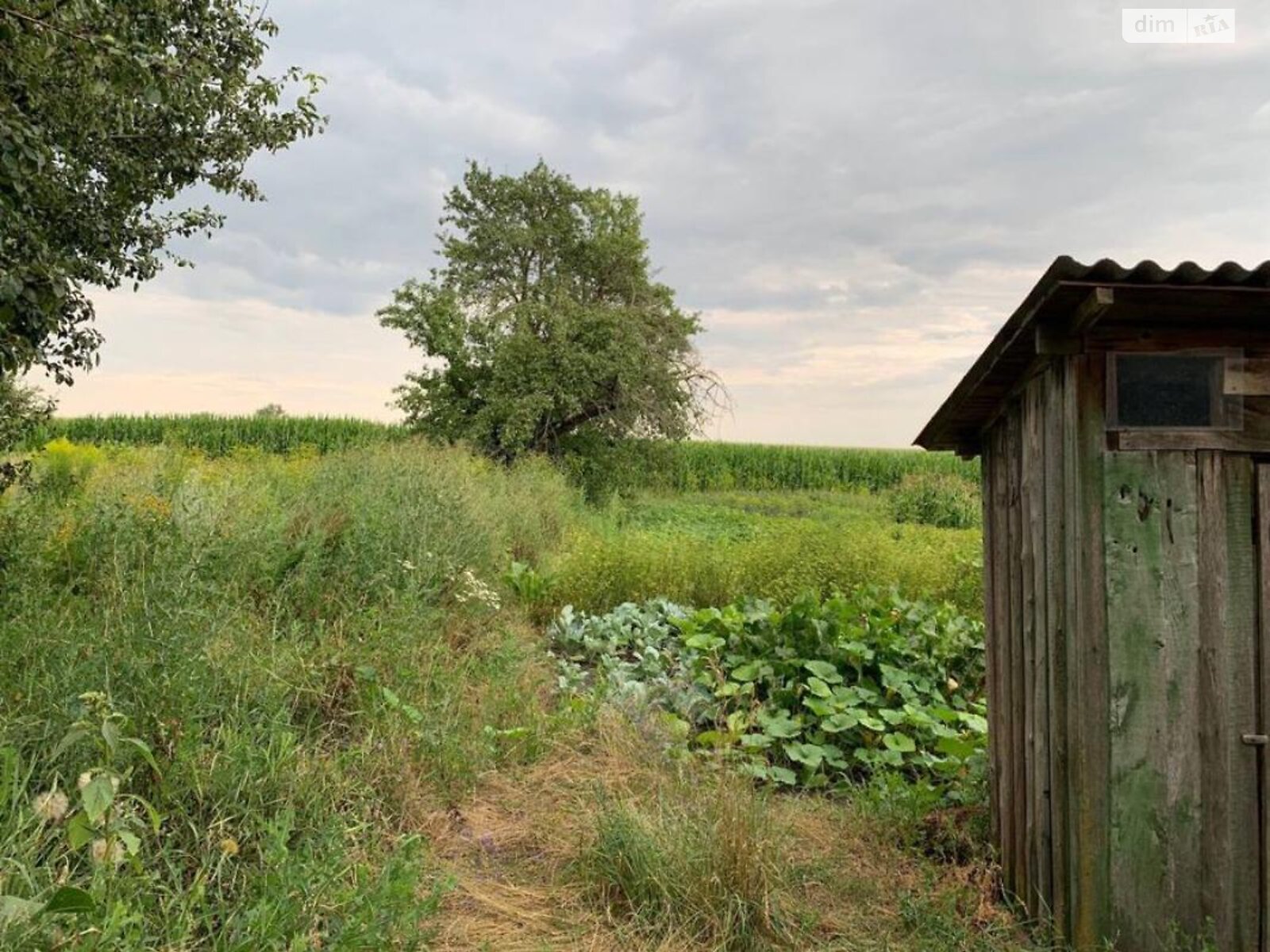 одноэтажный дом, 80 кв. м, сруб. Продажа в Плисках фото 1 одноэтажный дом, 80 кв. м, сруб. Продажа в Плисках фото 1