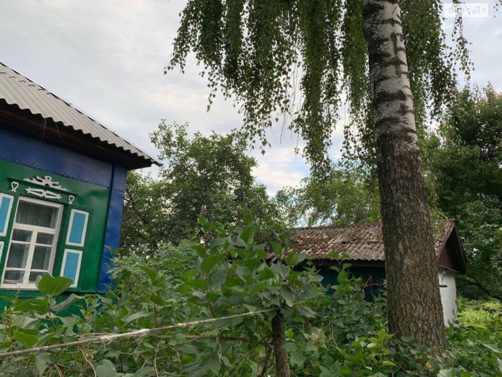 одноэтажный дом, 80 кв. м, сруб. Продажа в Плисках фото 1 одноэтажный дом, 80 кв. м, сруб. Продажа в Плисках фото 1