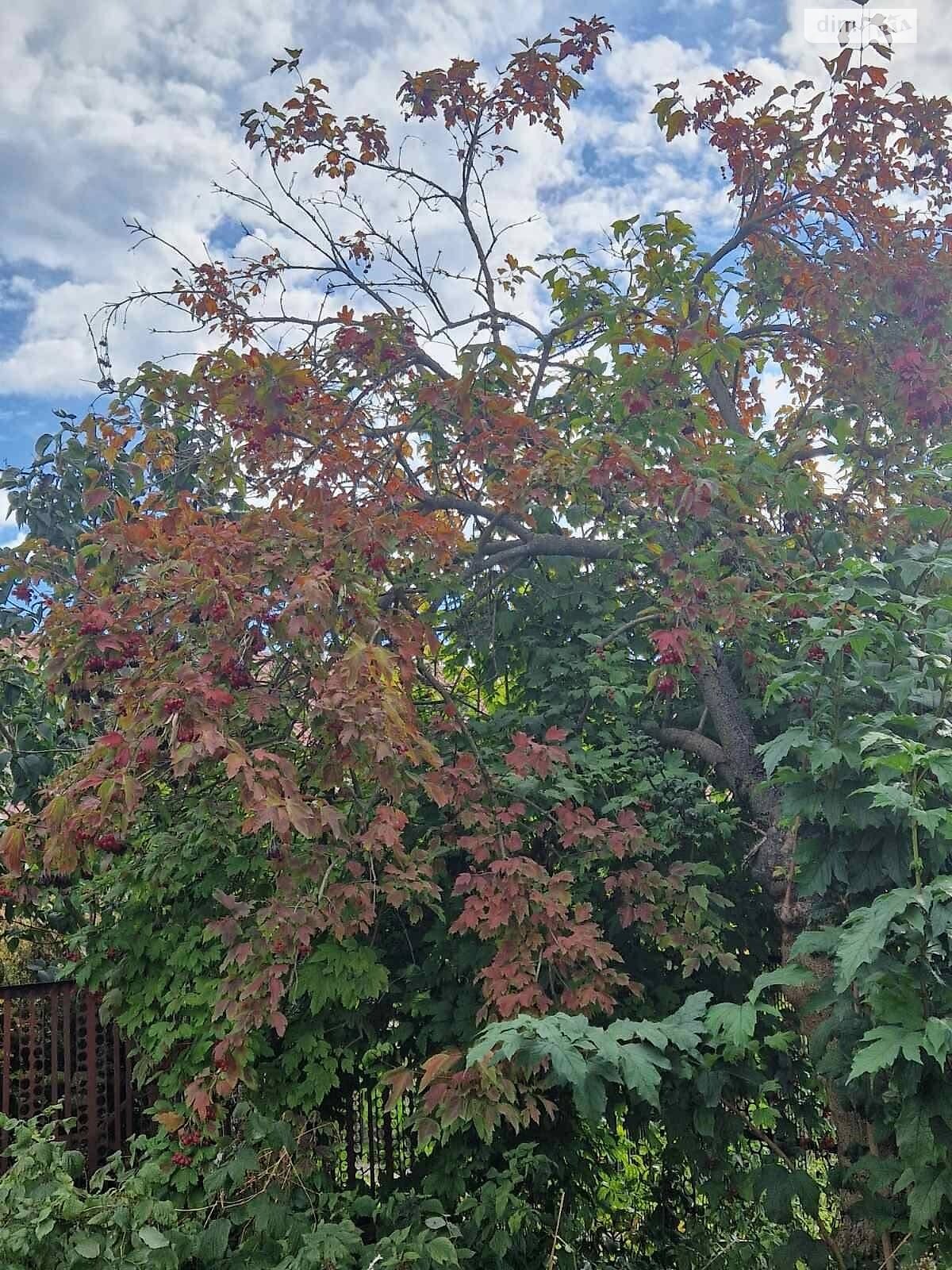 двоповерховий будинок, 110 кв. м, кирпич. Продаж у Плотичі фото 1 двоповерховий будинок, 110 кв. м, кирпич. Продаж у Плотичі фото 1