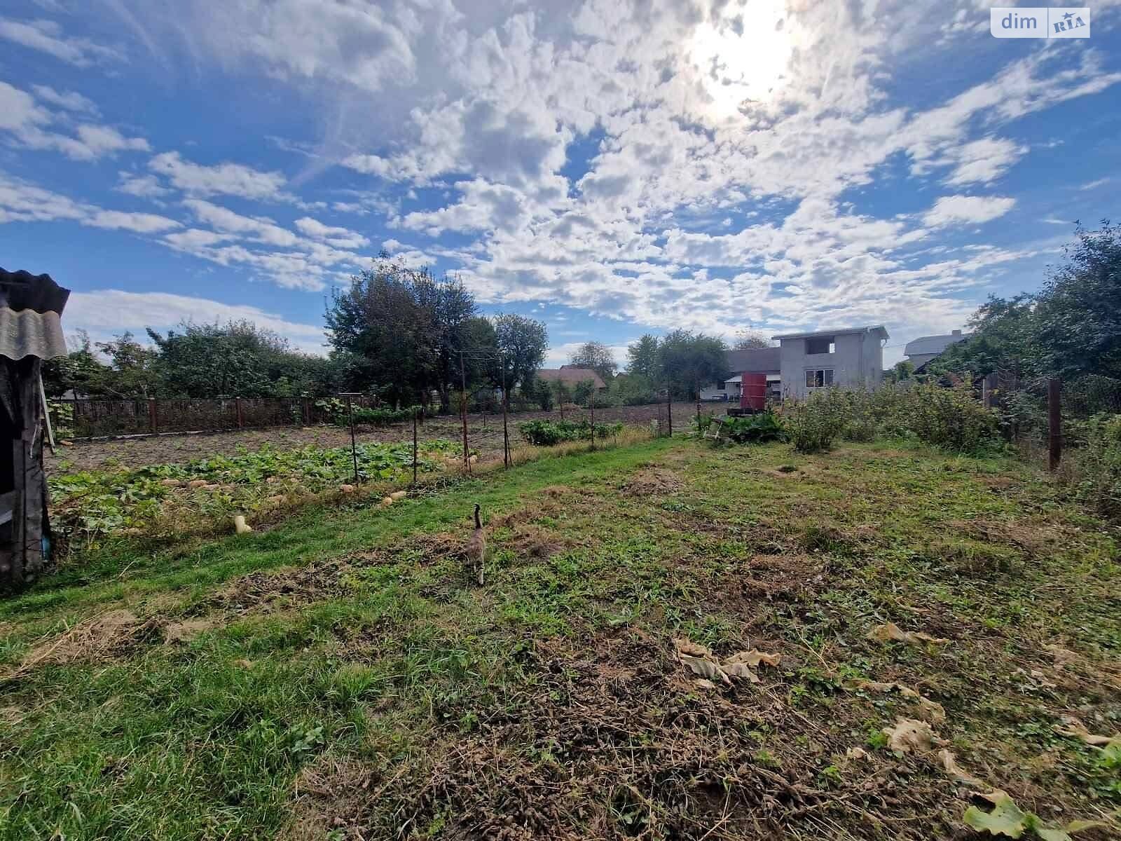 двоповерховий будинок, 110 кв. м, кирпич. Продаж у Плотичі фото 1 двоповерховий будинок, 110 кв. м, кирпич. Продаж у Плотичі фото 1