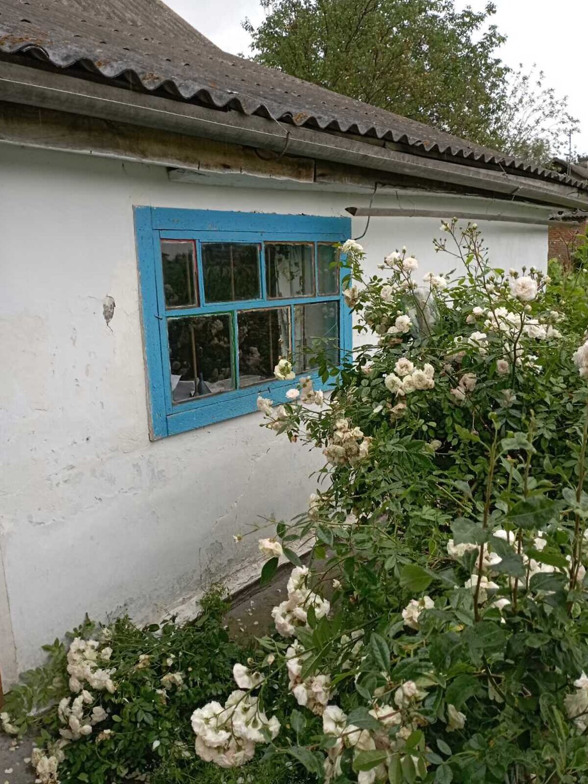 одноэтажный дом, 73.4 кв. м, дерево и кирпич. Продажа в Плужном фото 1