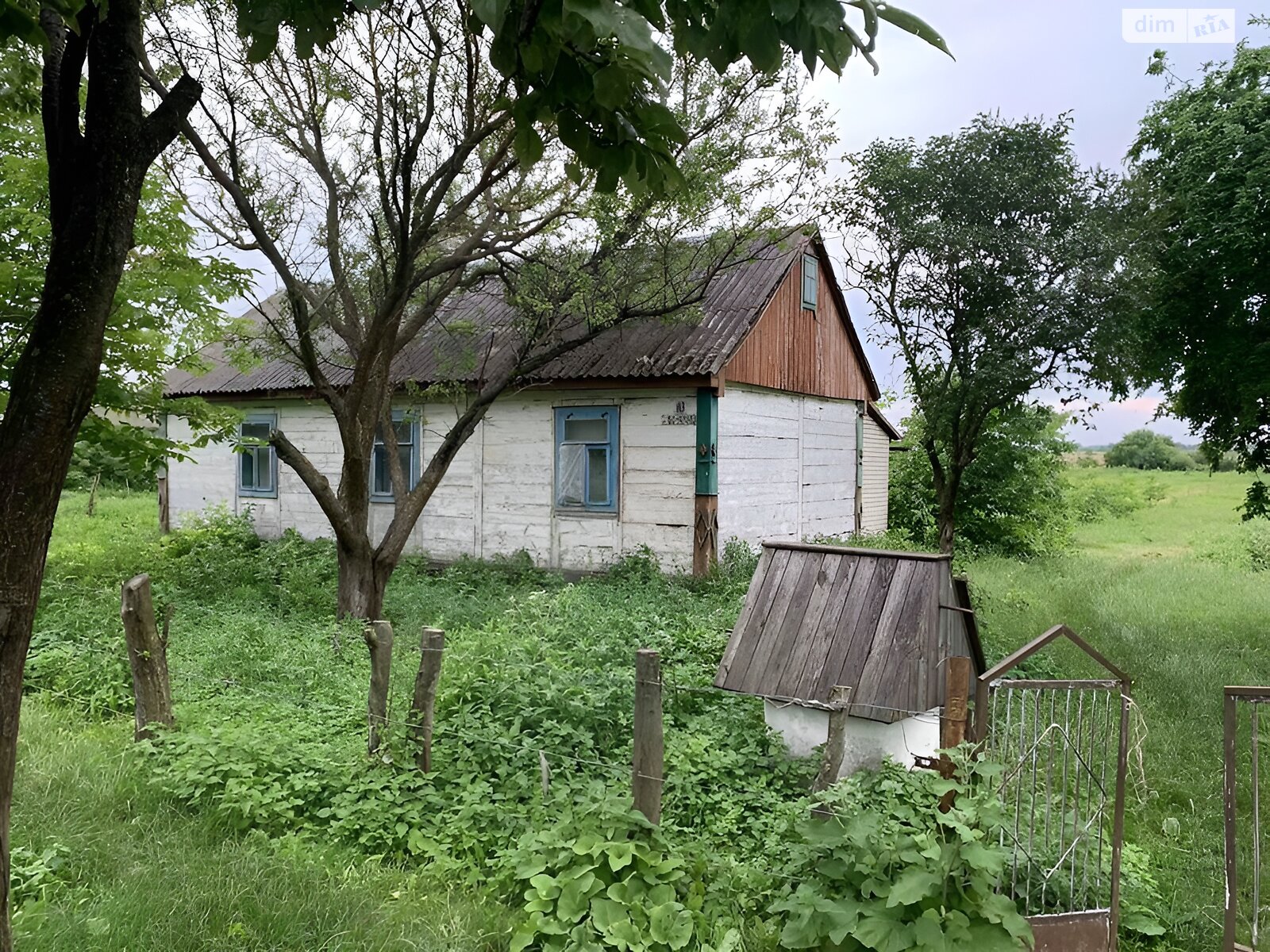 одноповерховий будинок, 60 кв. м, сруб. Продаж у Підгірне фото 1 одноповерховий будинок, 60 кв. м, сруб. Продаж у Підгірне фото 1