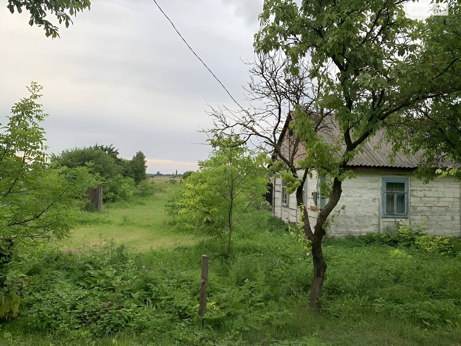 одноповерховий будинок, 60 кв. м, сруб. Продаж у Підгірне фото 1 одноповерховий будинок, 60 кв. м, сруб. Продаж у Підгірне фото 1
