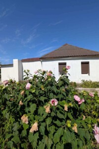 одноповерховий будинок, 49.7 кв. м, цегла. Продаж у Підгородньому фото 2