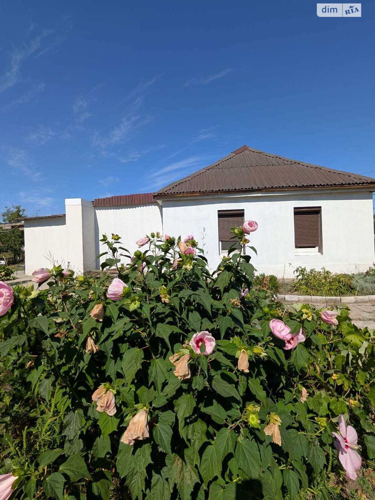 одноповерховий будинок, 49.7 кв. м, цегла. Продаж у Підгородньому фото 1 одноповерховий будинок, 49.7 кв. м, цегла. Продаж у Підгородньому фото 1