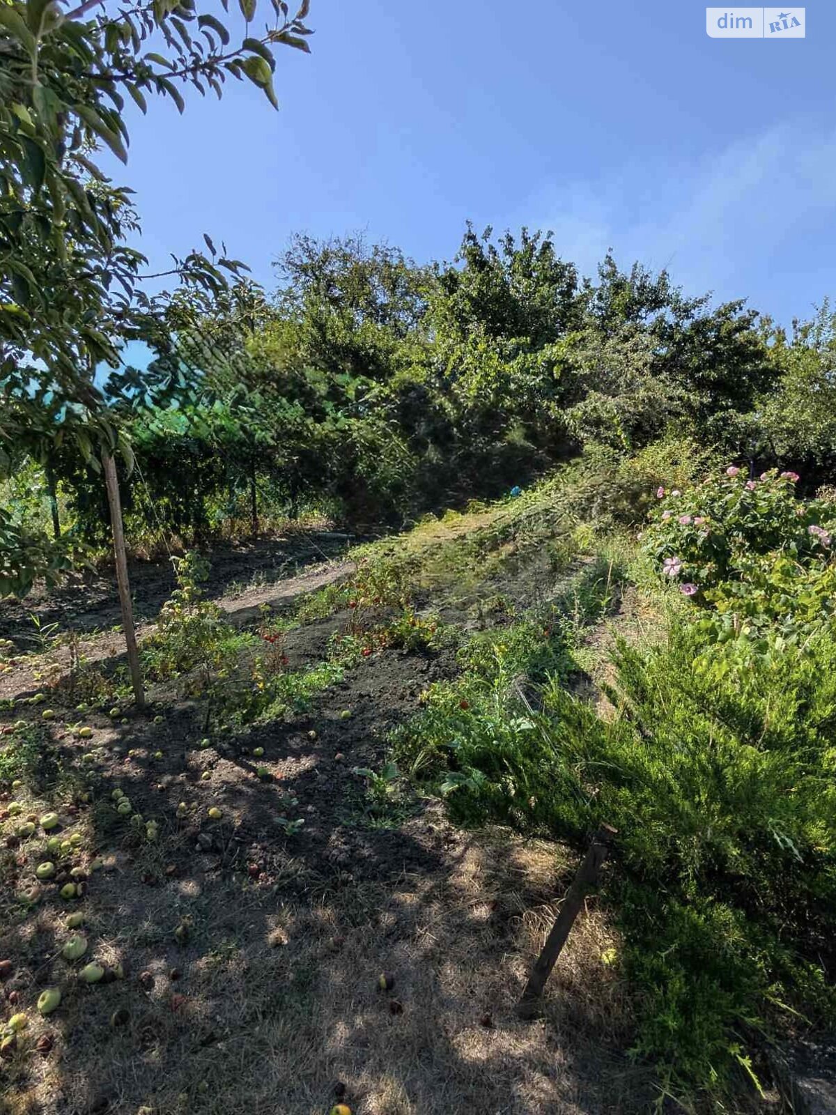 одноповерховий будинок, 49.7 кв. м, цегла. Продаж у Підгородньому фото 1 одноповерховий будинок, 49.7 кв. м, цегла. Продаж у Підгородньому фото 1