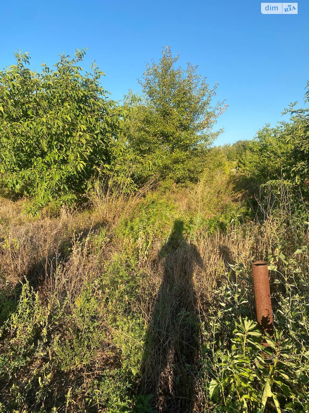 одноповерховий будинок з опаленням, 57.1 кв. м, цегла. Продаж у Підгородньому фото 1 одноповерховий будинок з опаленням, 57.1 кв. м, цегла. Продаж у Підгородньому фото 1