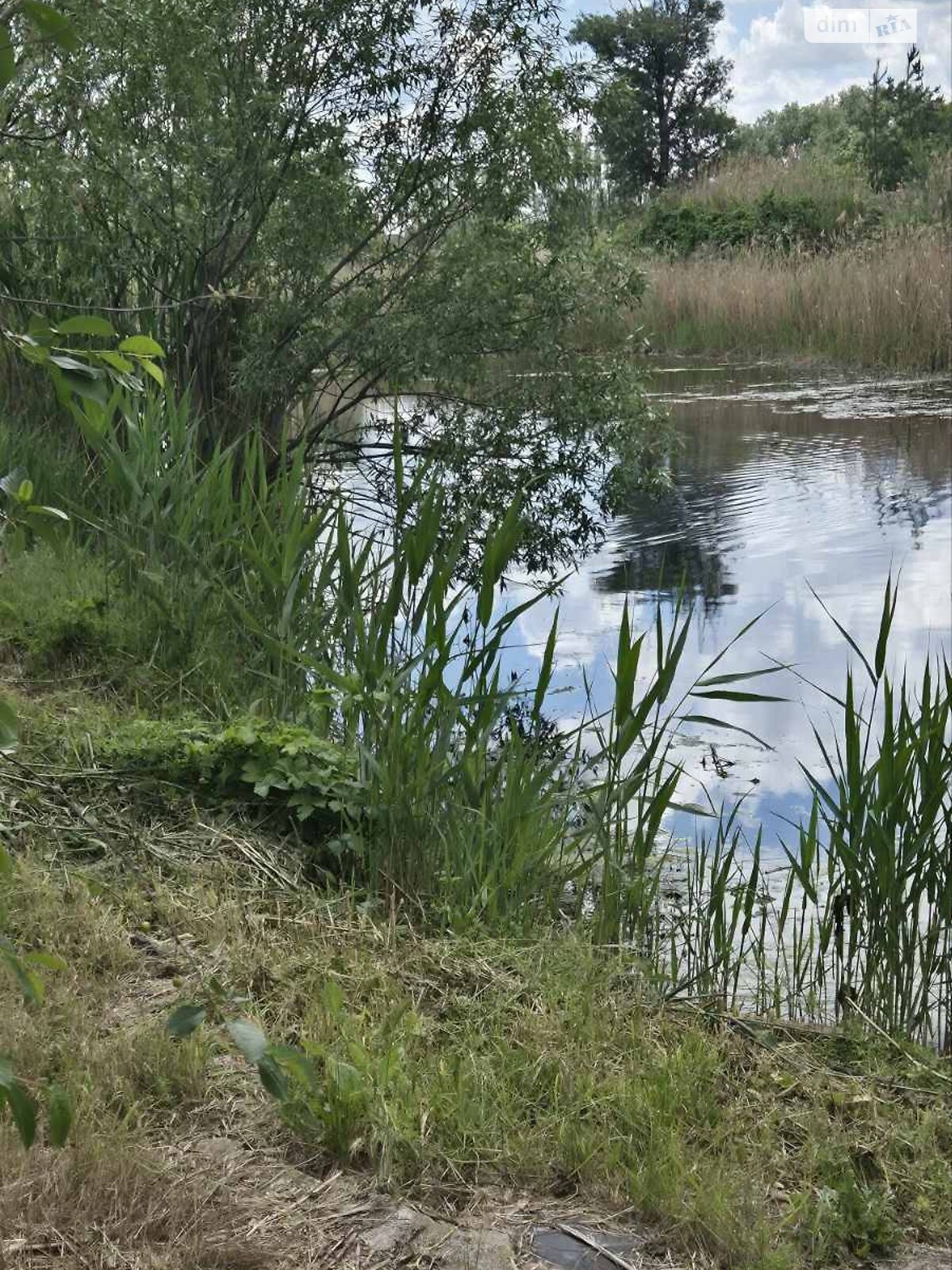 одноповерховий будинок, 100 кв. м, газобетон. Продаж у Підгородньому фото 1 одноповерховий будинок, 100 кв. м, газобетон. Продаж у Підгородньому фото 1