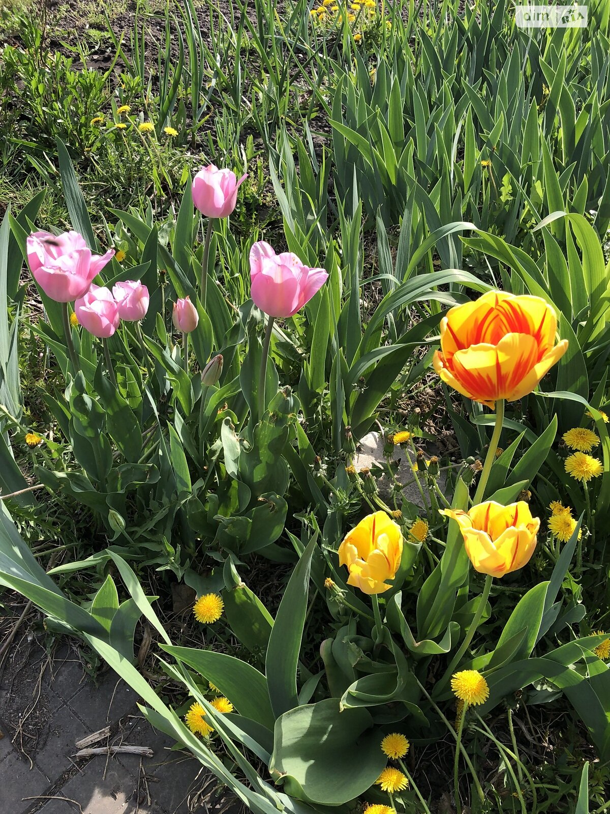 двоповерховий будинок, 99.4 кв. м, цегла. Продаж у Підгородньому фото 1