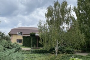 двоповерховий будинок з гаражем, 380 кв. м, кирпич. Продаж у Підгородньому фото 2 двоповерховий будинок з гаражем, 380 кв. м, кирпич. Продаж у Підгородньому фото 2