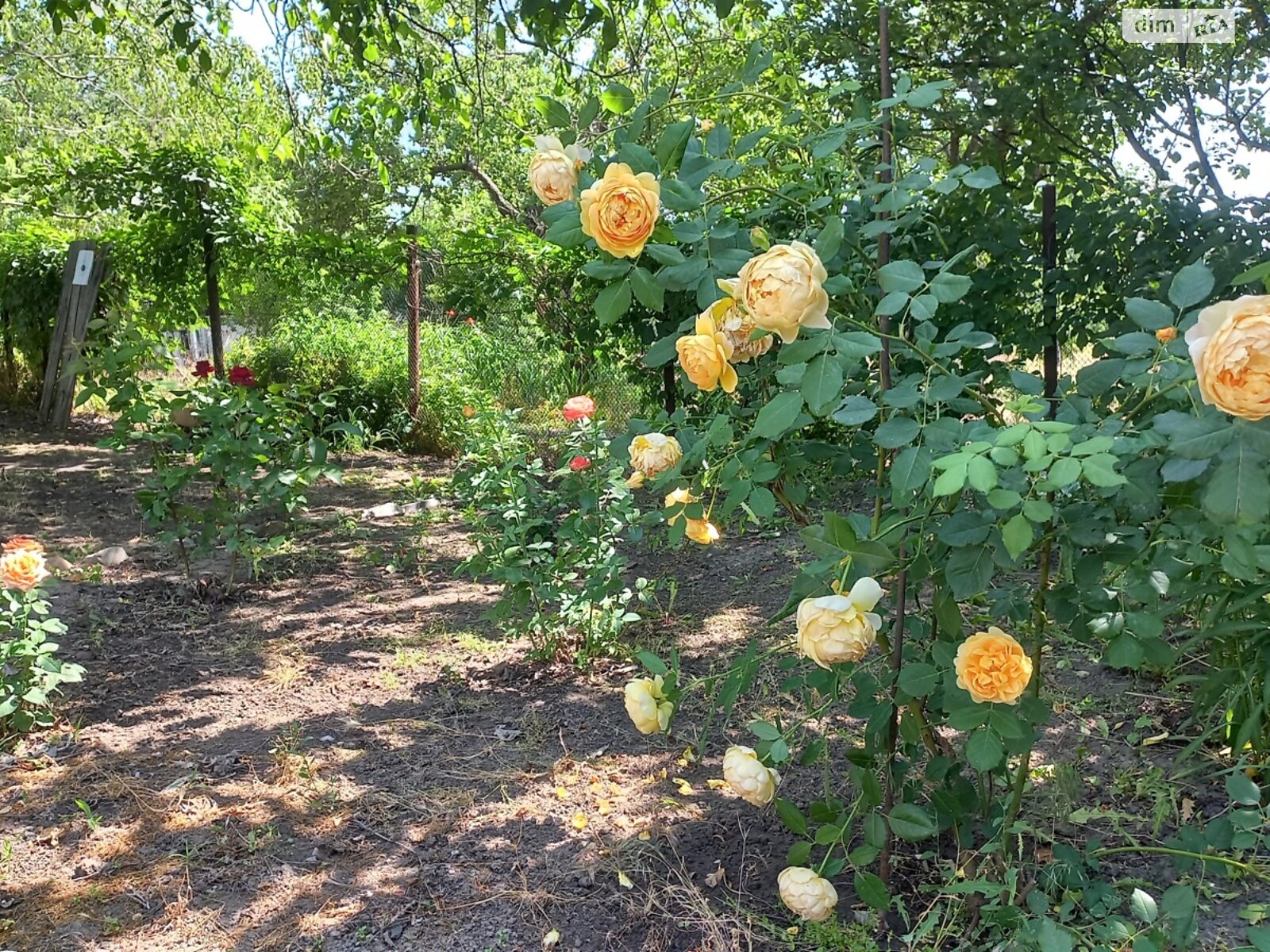 одноэтажный дом с отоплением, 46.2 кв. м, кирпич. Продажа в Подгороднем фото 1 одноэтажный дом с отоплением, 46.2 кв. м, кирпич. Продажа в Подгороднем фото 1