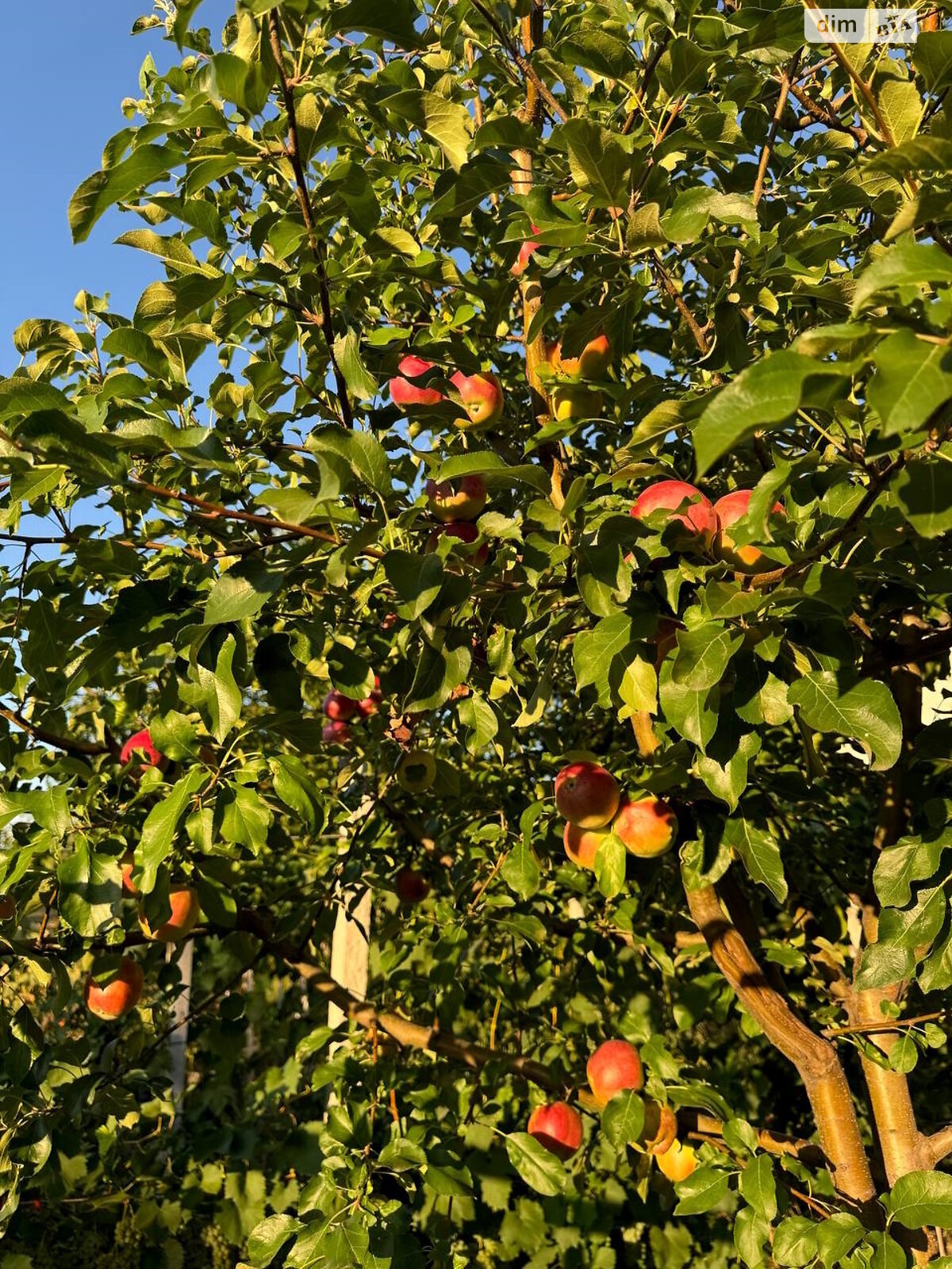 двухэтажный дом беседка, 80 кв. м, кирпич. Продажа в Подгороднем фото 1 двухэтажный дом беседка, 80 кв. м, кирпич. Продажа в Подгороднем фото 1