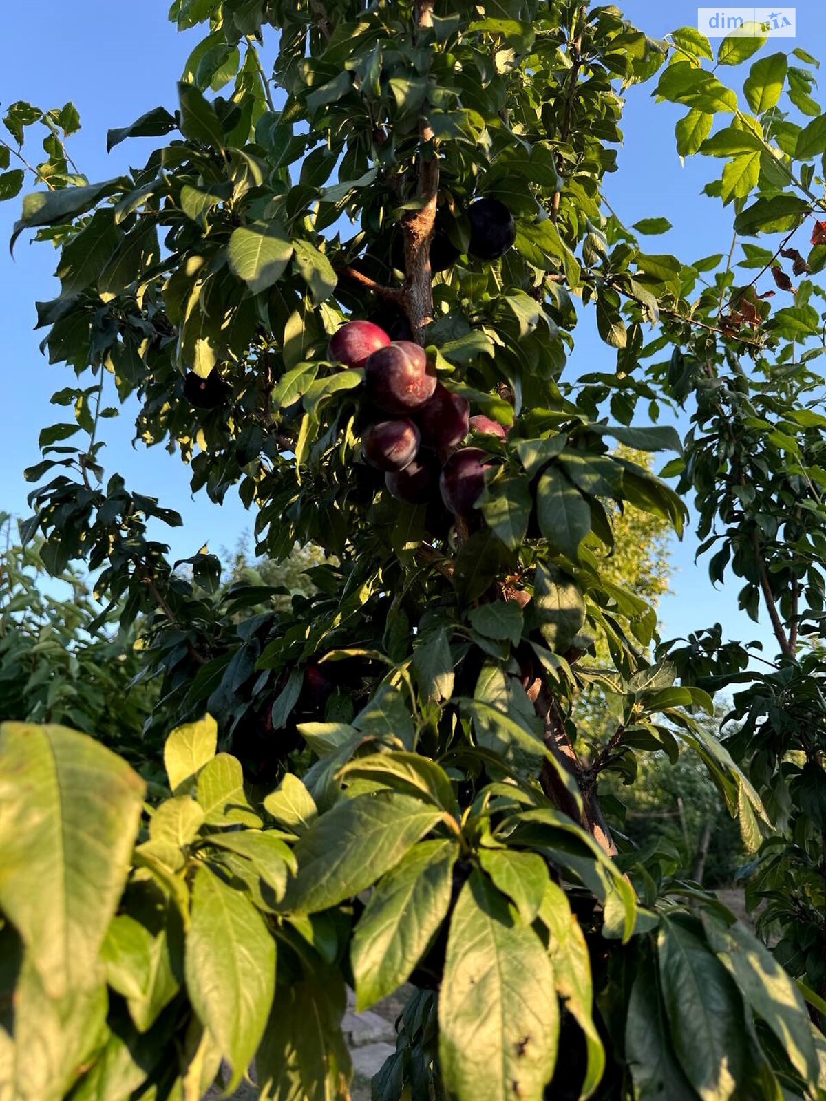 двухэтажный дом беседка, 80 кв. м, кирпич. Продажа в Подгороднем фото 1 двухэтажный дом беседка, 80 кв. м, кирпич. Продажа в Подгороднем фото 1