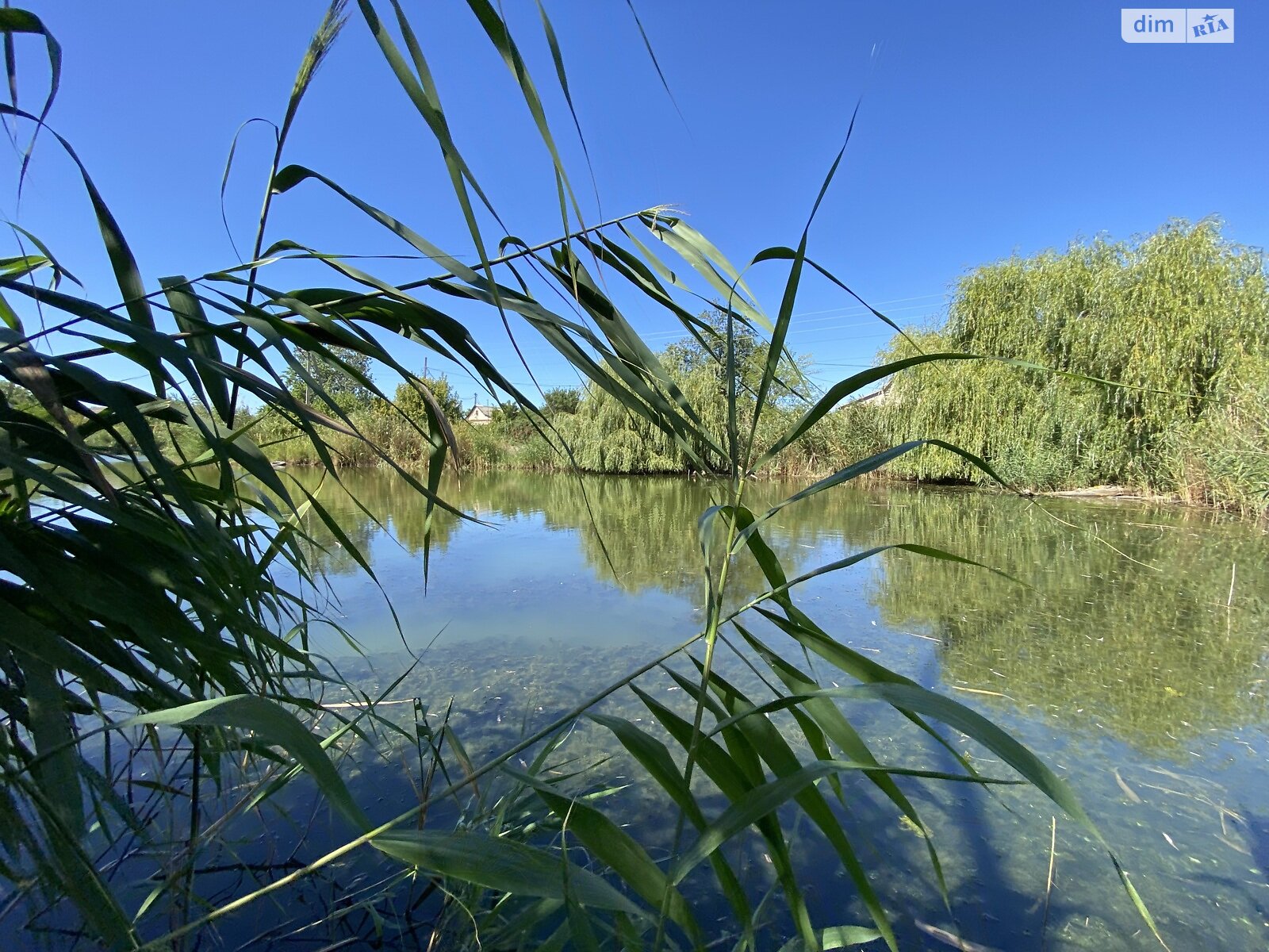 одноповерховий будинок бесідка, 45 кв. м, шлакоблок. Продаж у Підгородньому фото 1 одноповерховий будинок бесідка, 45 кв. м, шлакоблок. Продаж у Підгородньому фото 1