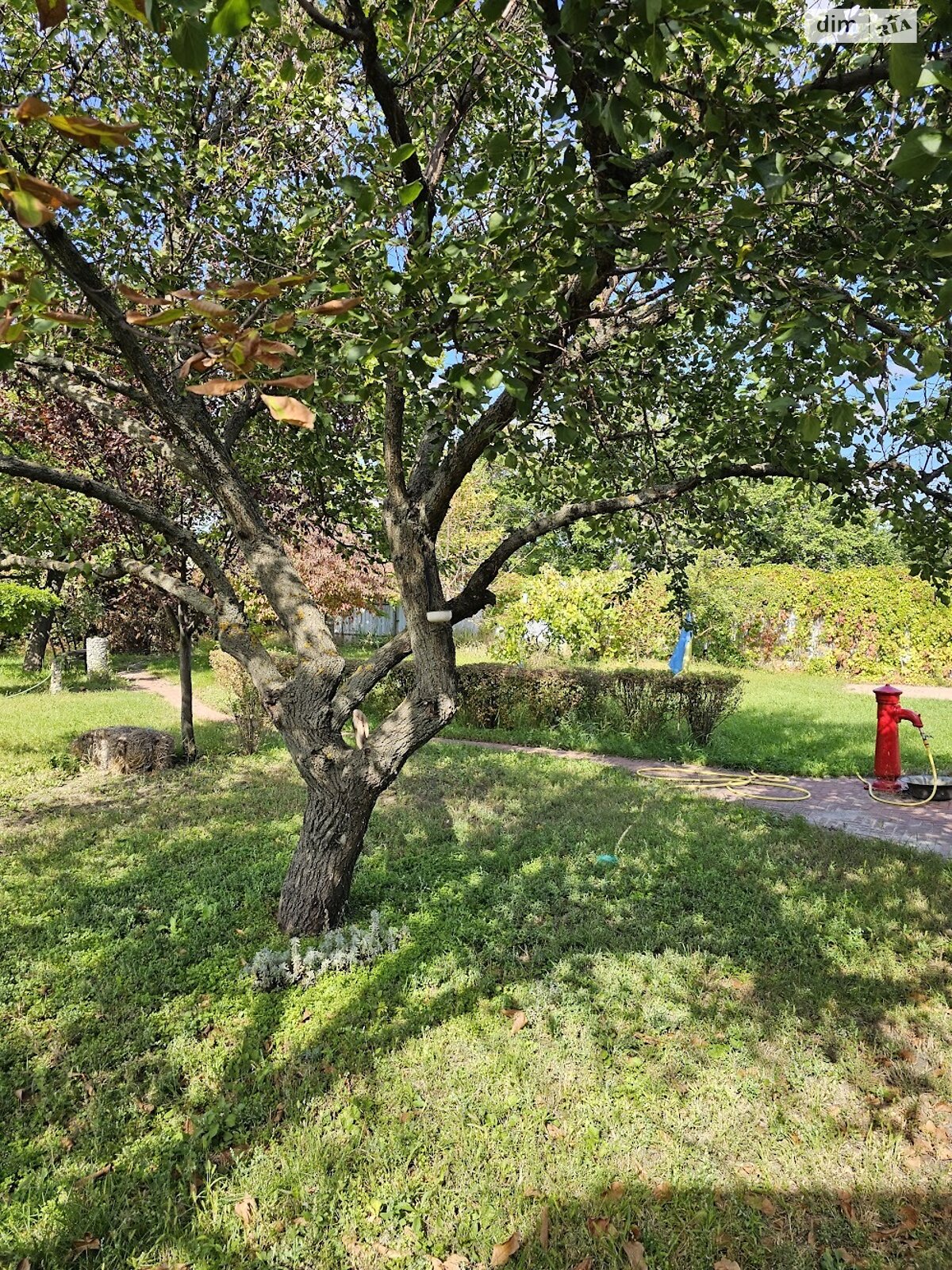 двоповерховий будинок з верандою, 117.3 кв. м, цегла. Продаж у Підгородньому фото 1