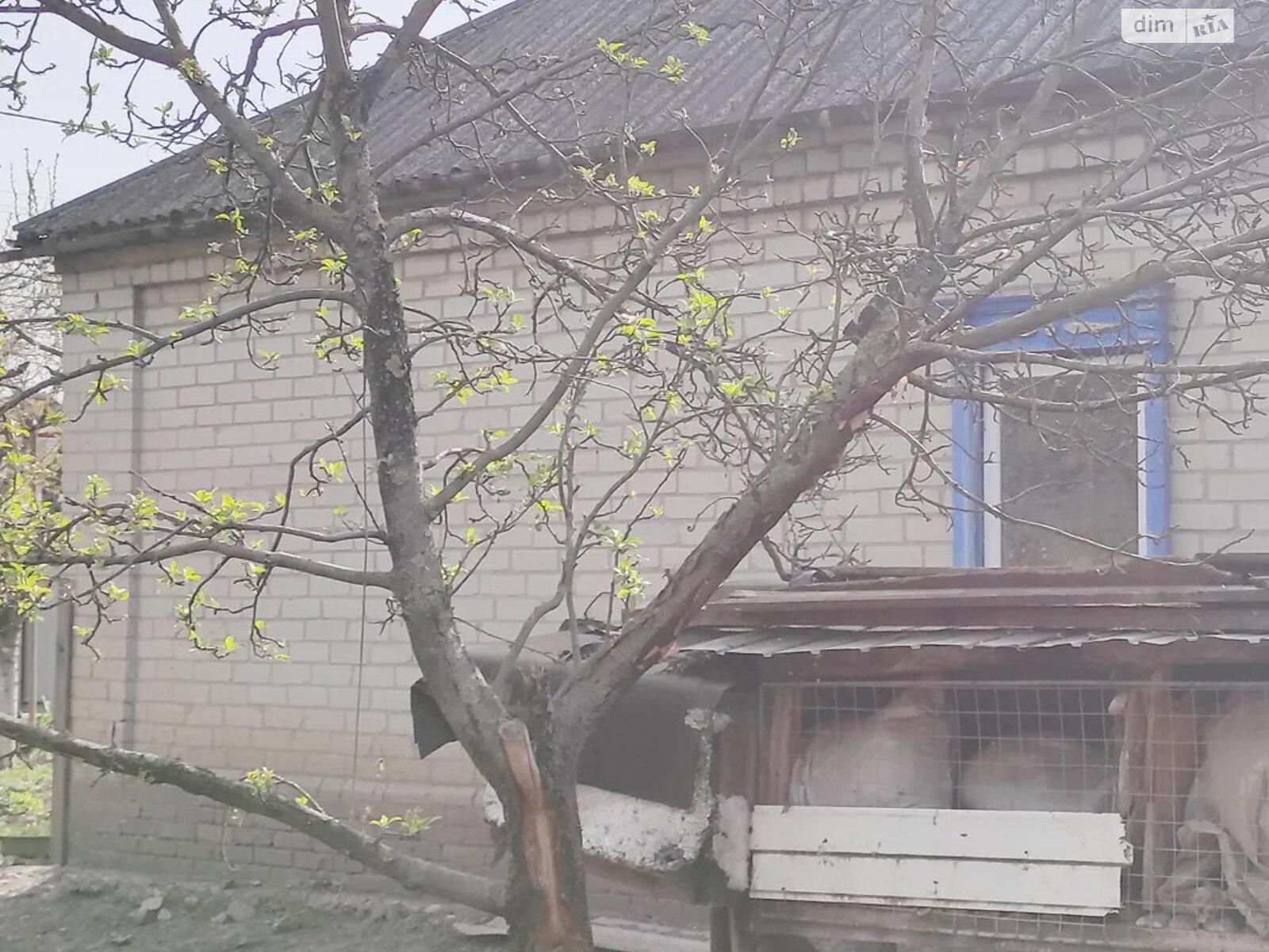 одноповерховий будинок, 48 кв. м, цегла. Продаж у Підгородне фото 1 одноповерховий будинок, 48 кв. м, цегла. Продаж у Підгородне фото 1